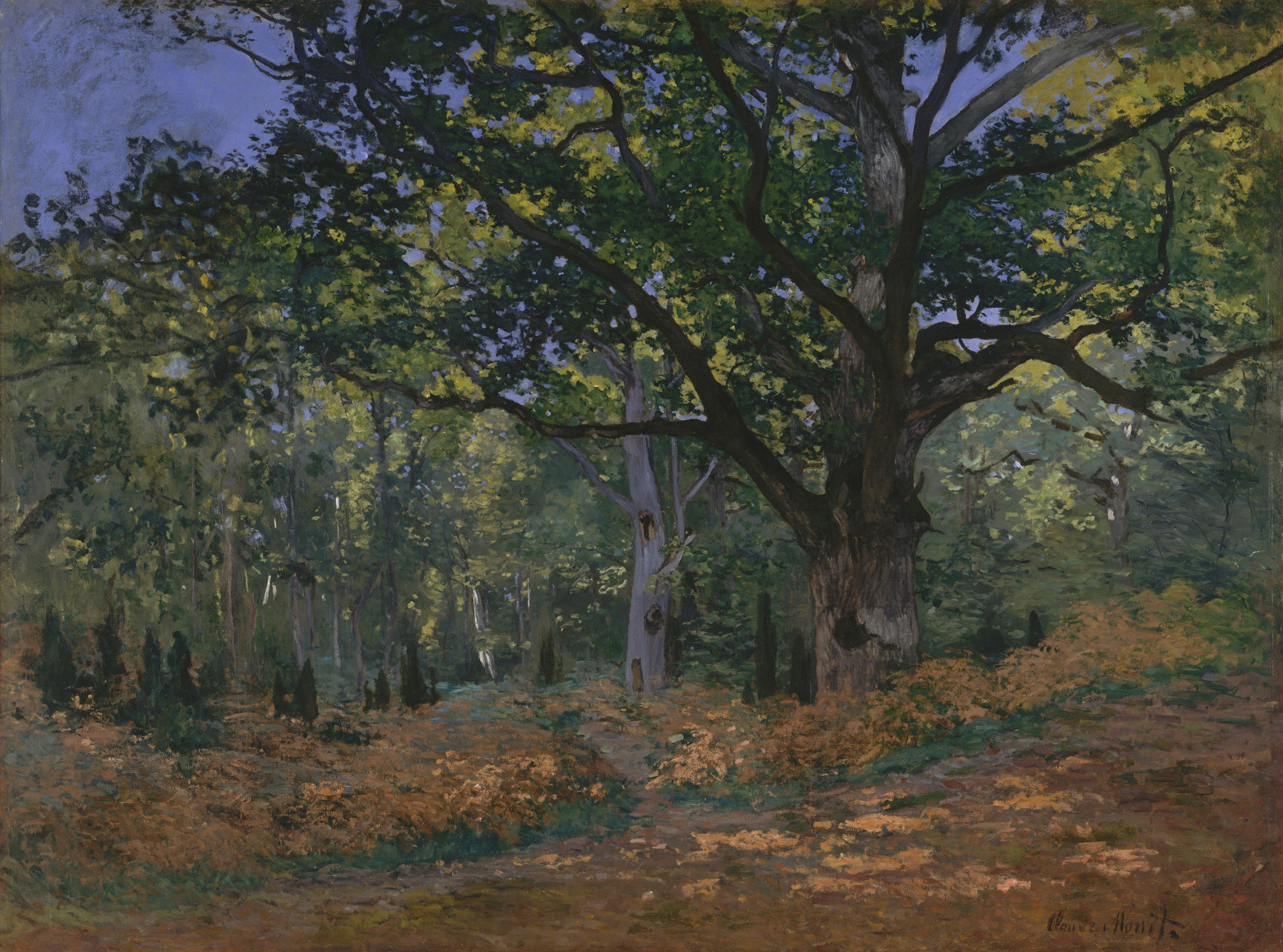 monet7_1.jpg