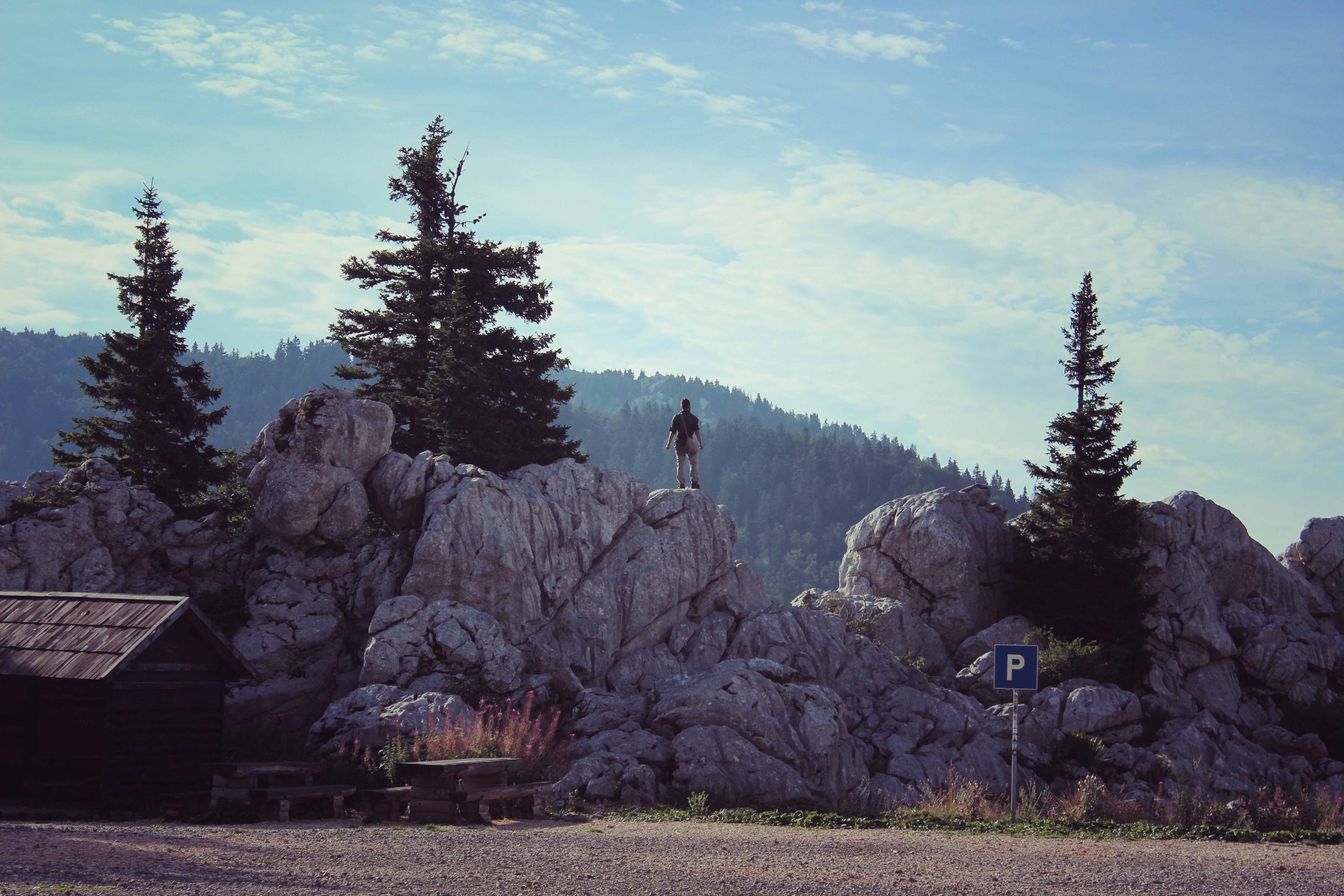 achievement-adventure-conifers-262404.jpg