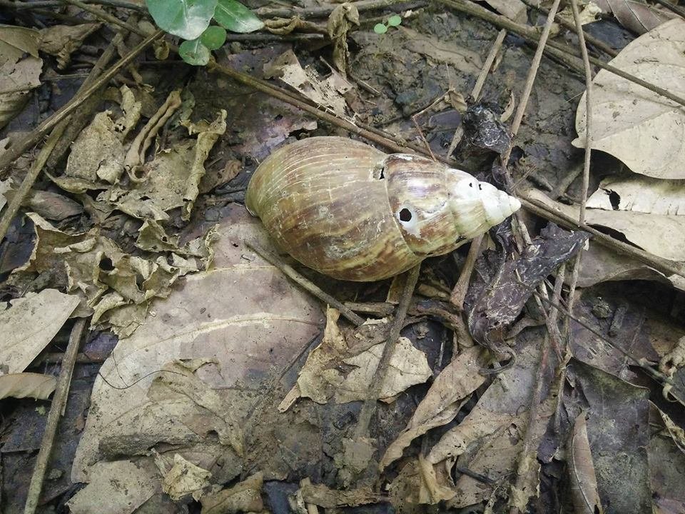 DC7358937643698476984598 (2).jpg