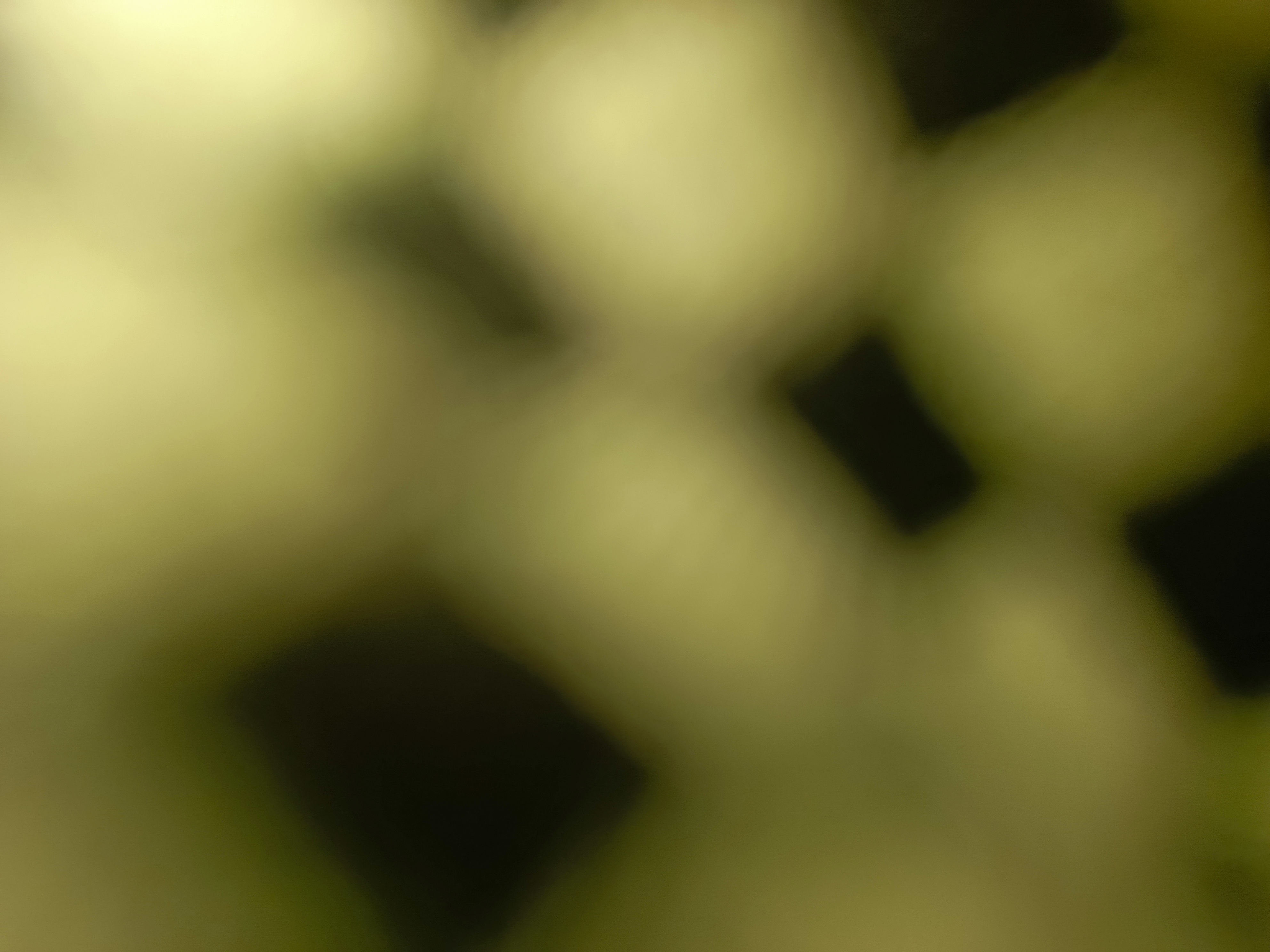 1000664793.jpg