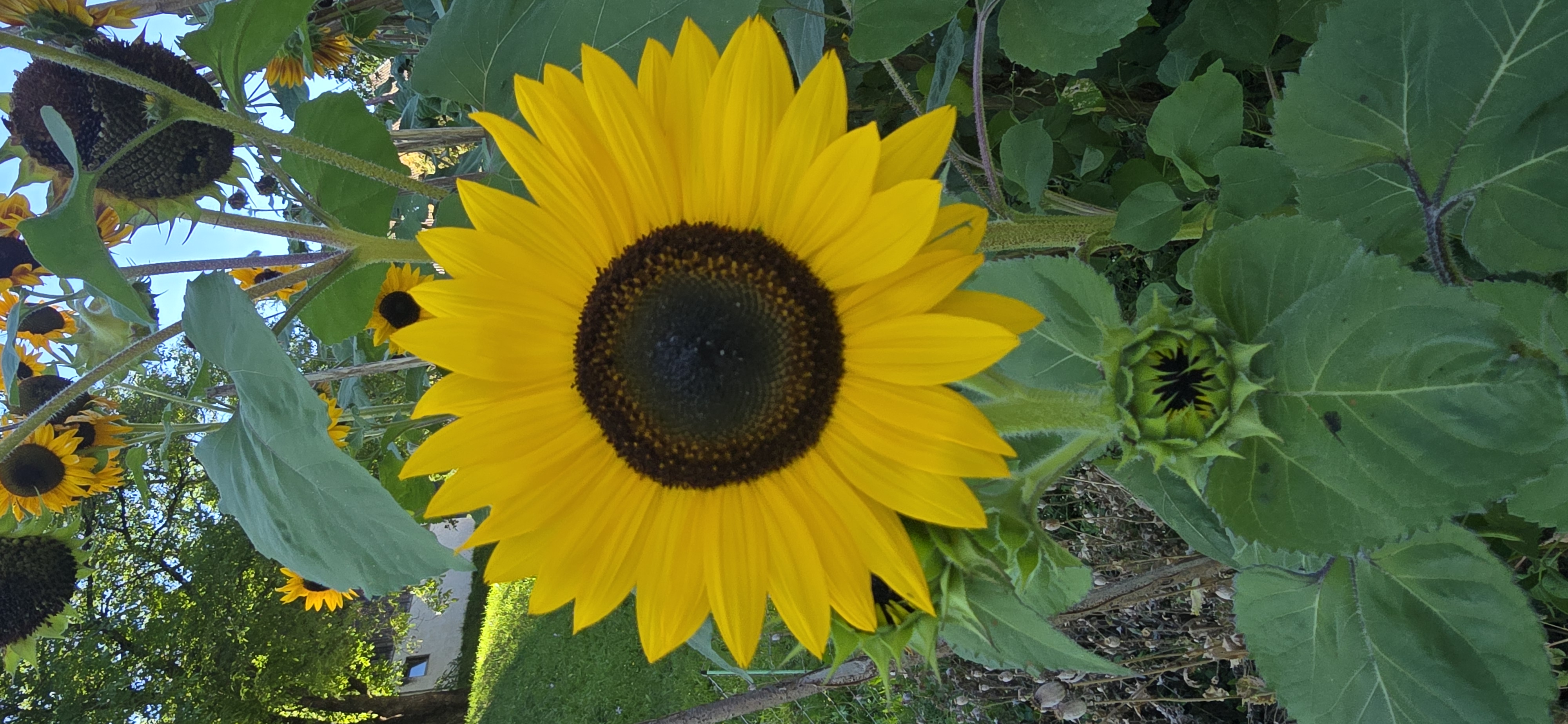 20250826_161005.jpg