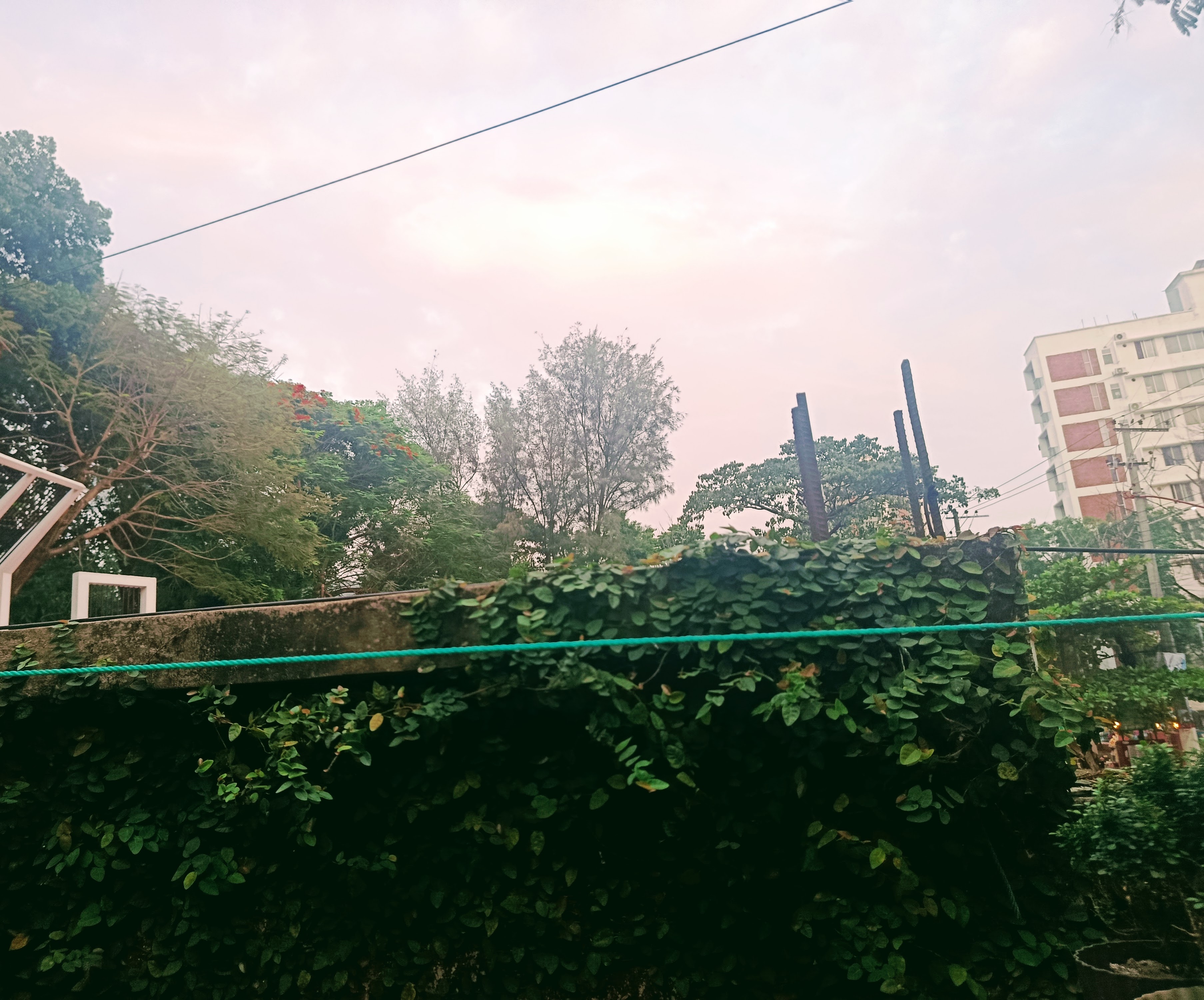 IMG_20260509_181356.jpg