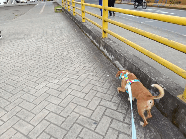 67334.gif