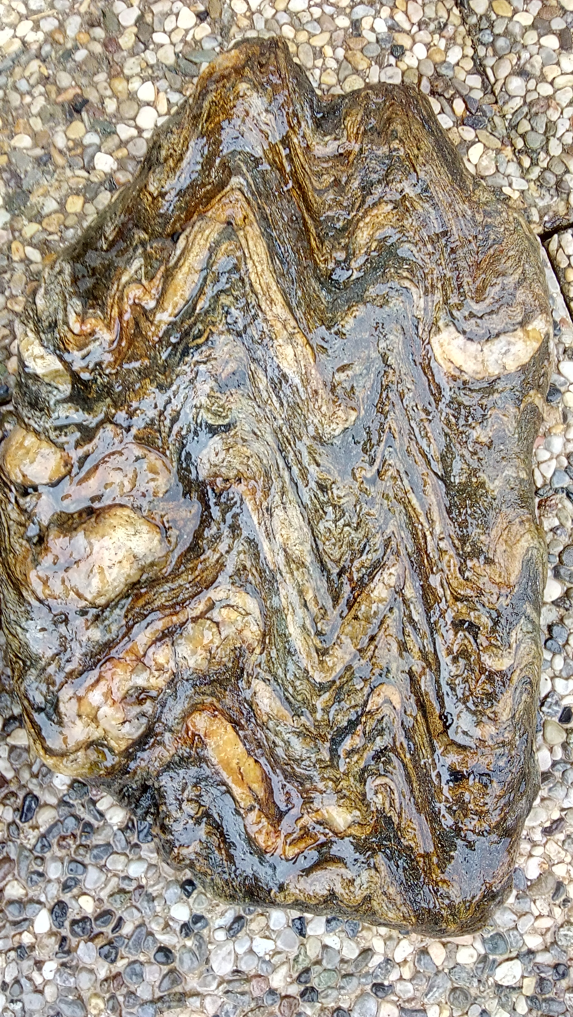 IMG_20180501_175758365_HDR.jpg