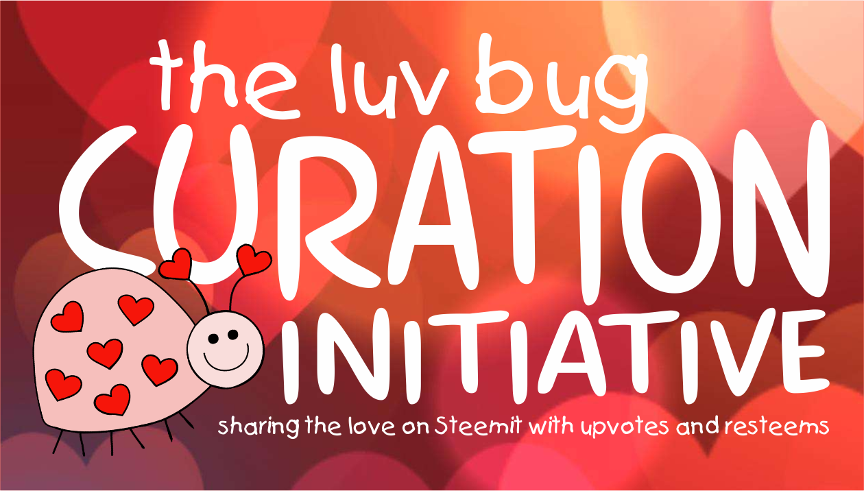 TUESDAYS LUV BUG HEADER.png