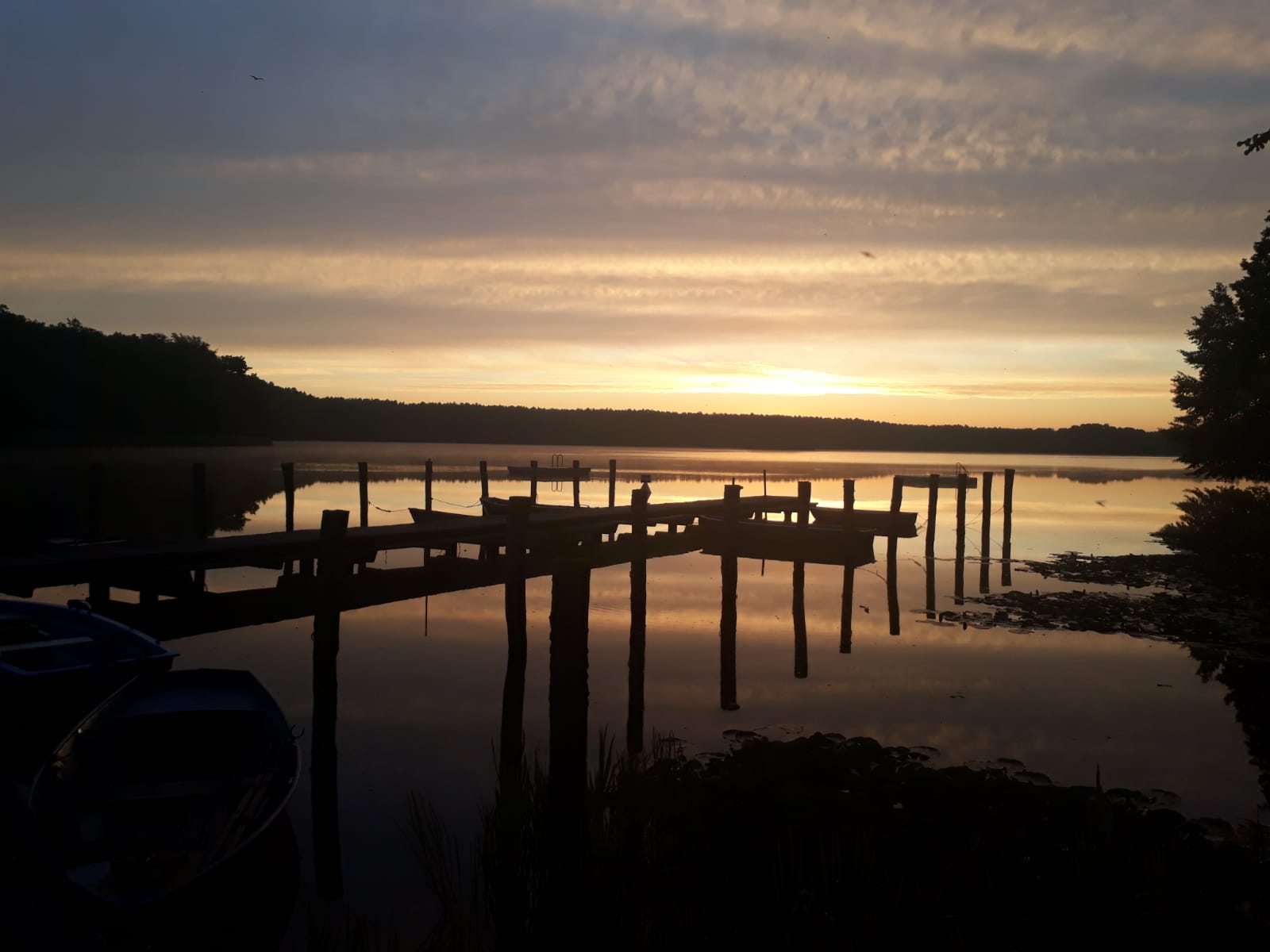 IMG-20210722-WA0023.jpg