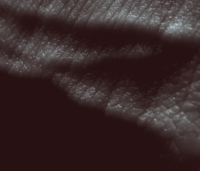 cover400.jpg