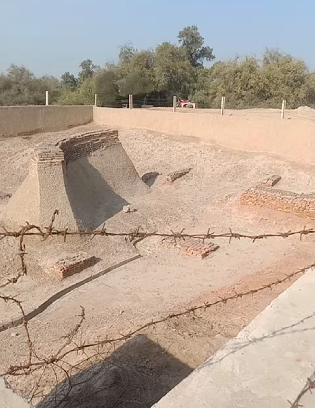 1000030833.jpg