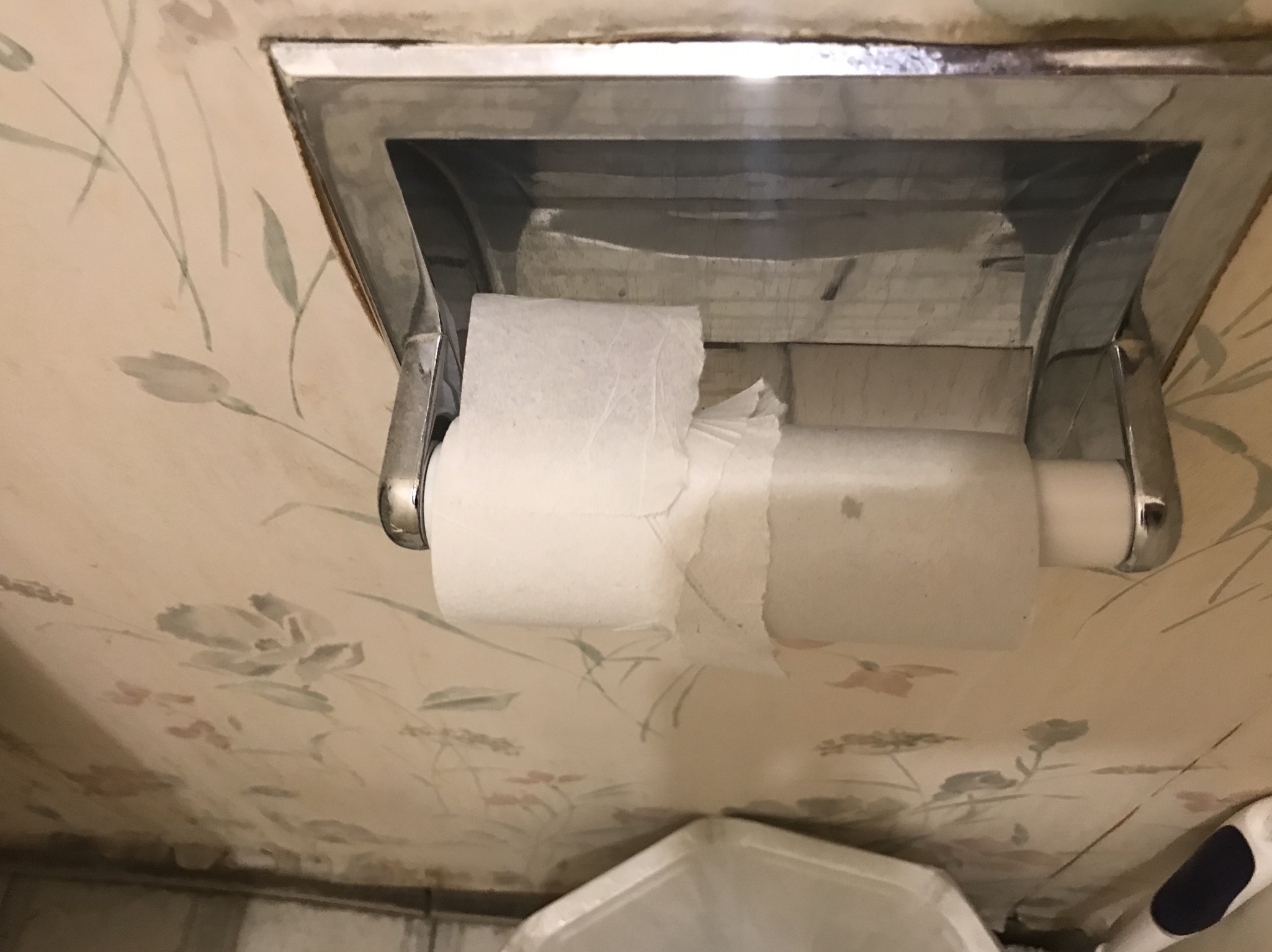 AA1588DE-06C5-4880-BD83-5ACE9E0A4C51.jpeg