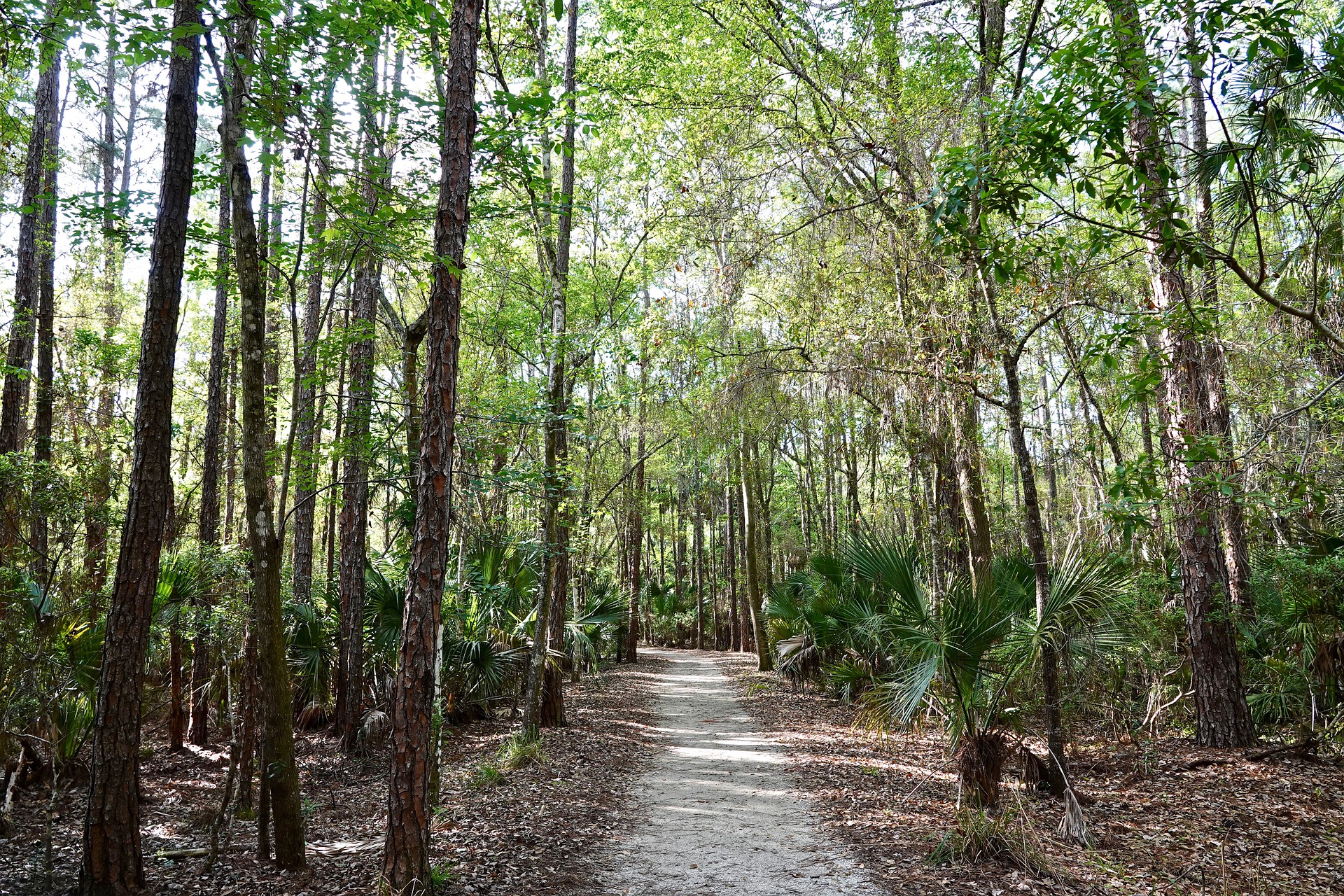trail-4931976_1920.jpg