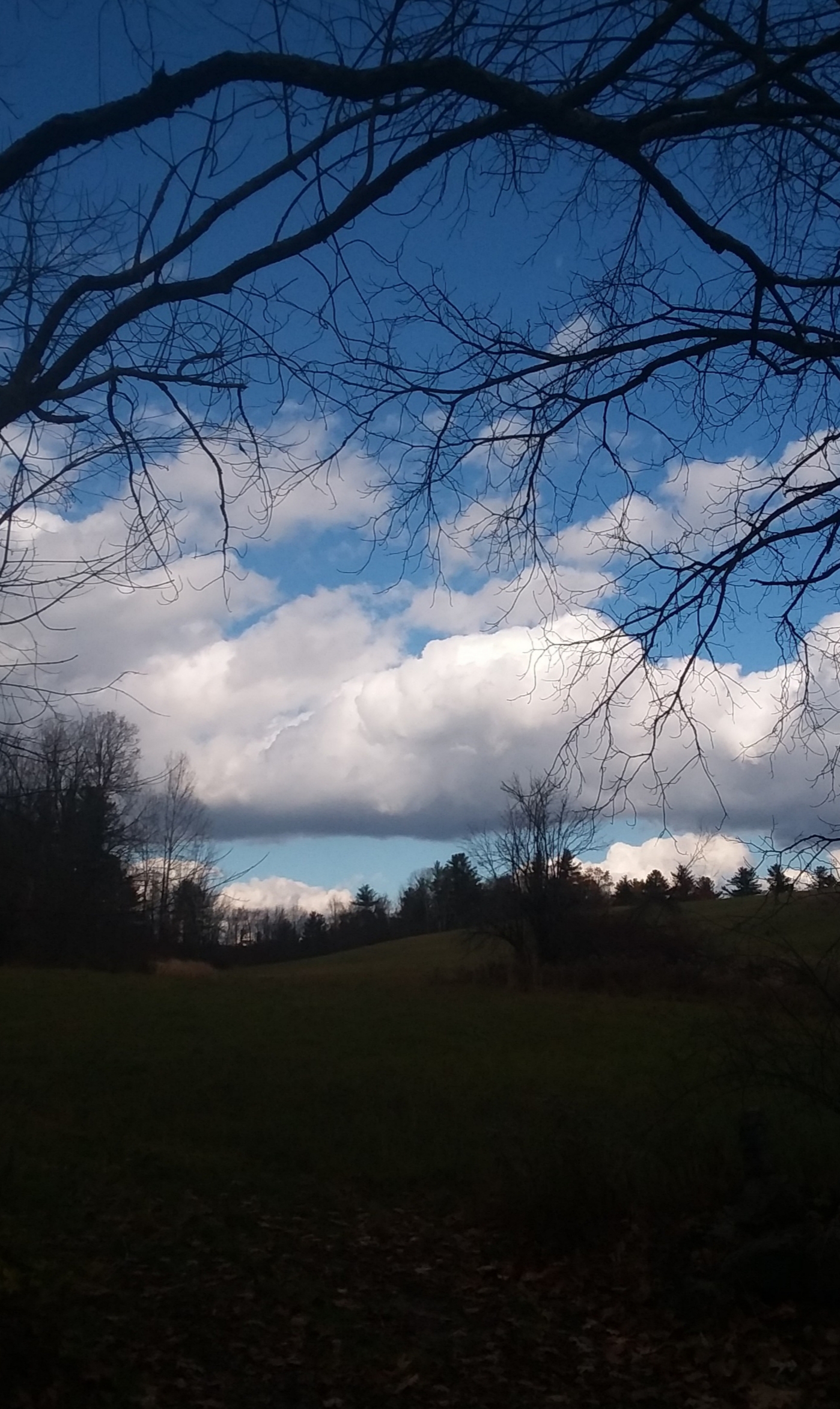 20191107_085943.jpg