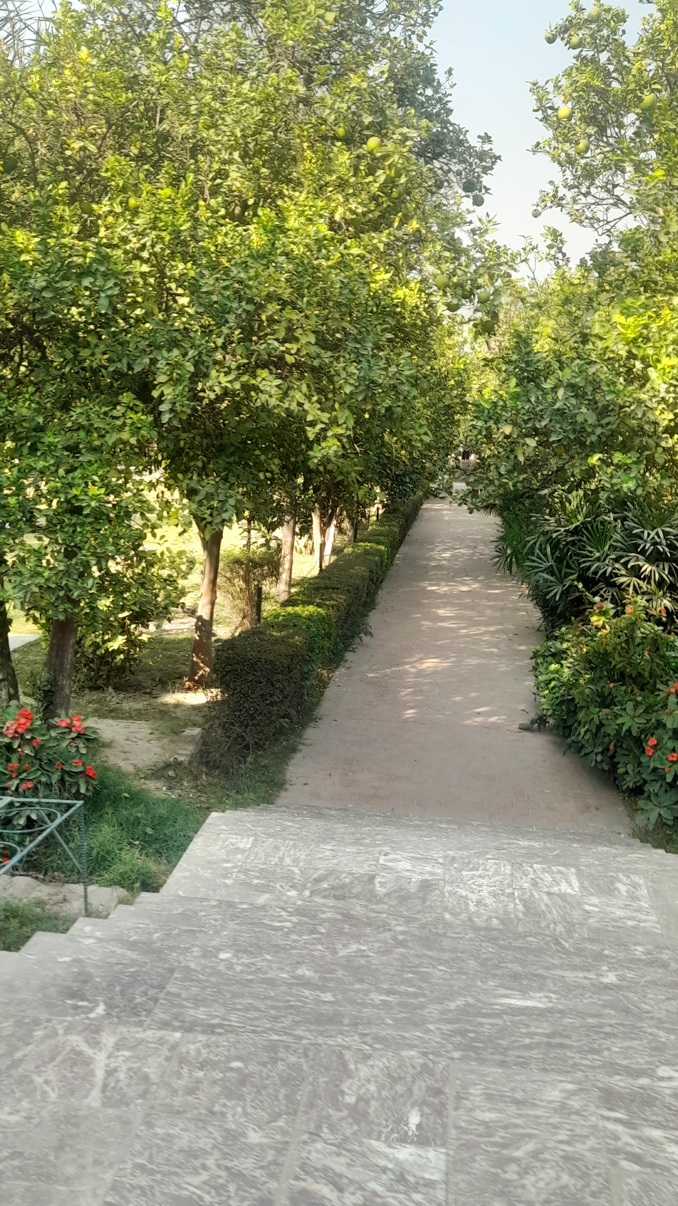 20251113_135733.jpg