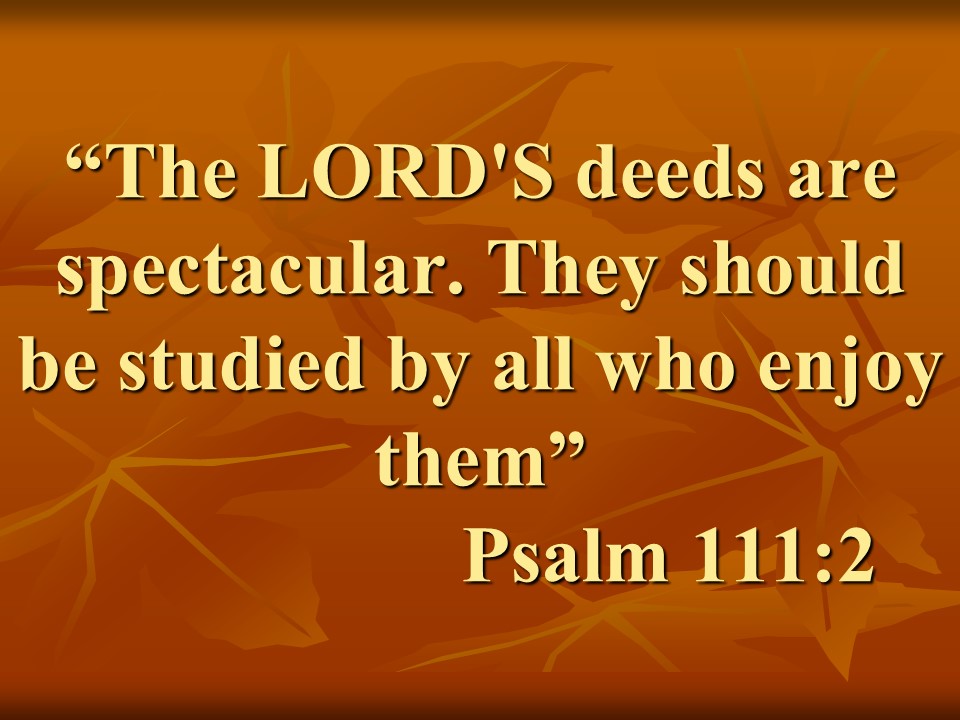 Faithfulness in Psalm 111. The LORD'S deeds are spectacular. They should be studied by all who enjoy them. Psalm 111,2.jpg
