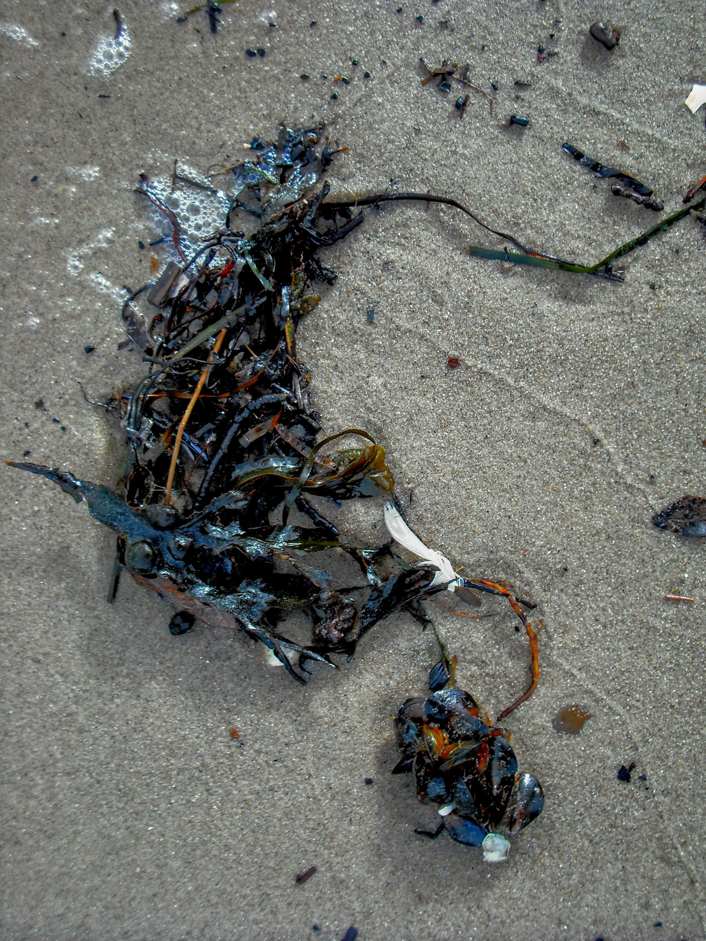 DSCF5713.jpg