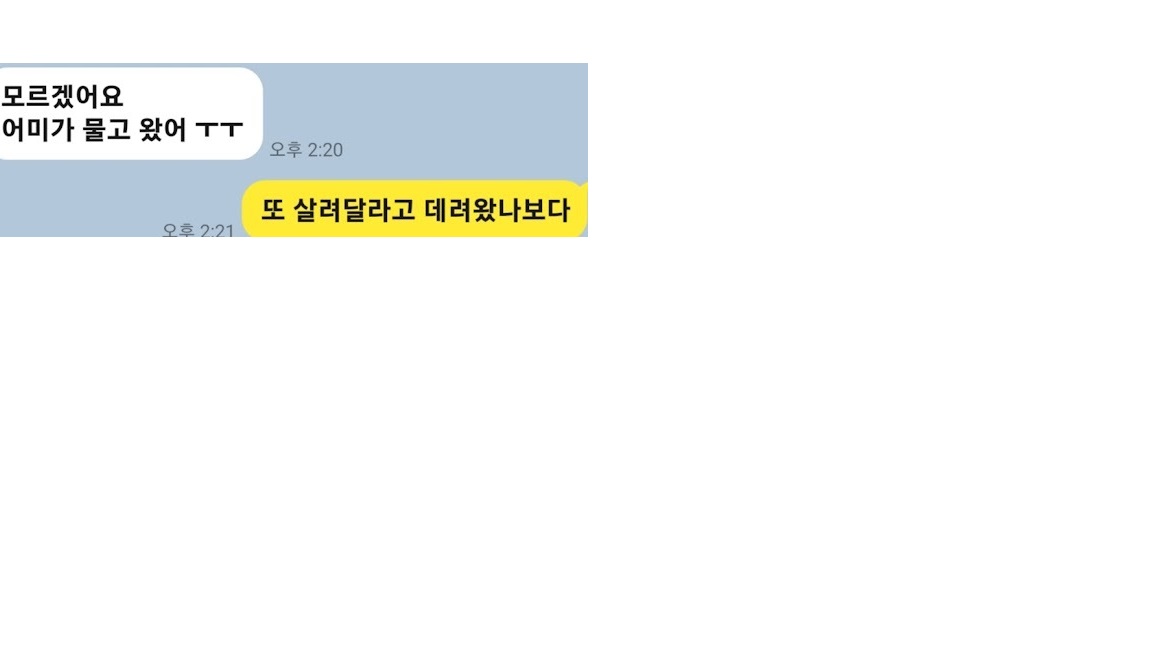 제목 없22음.jpg