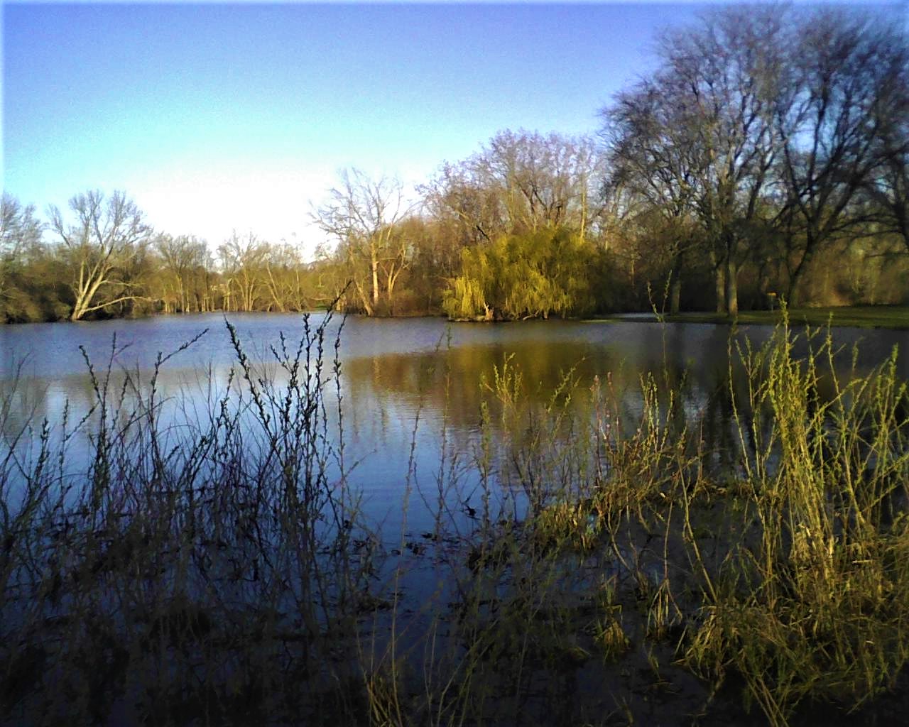 Photo04231929 (2).jpg