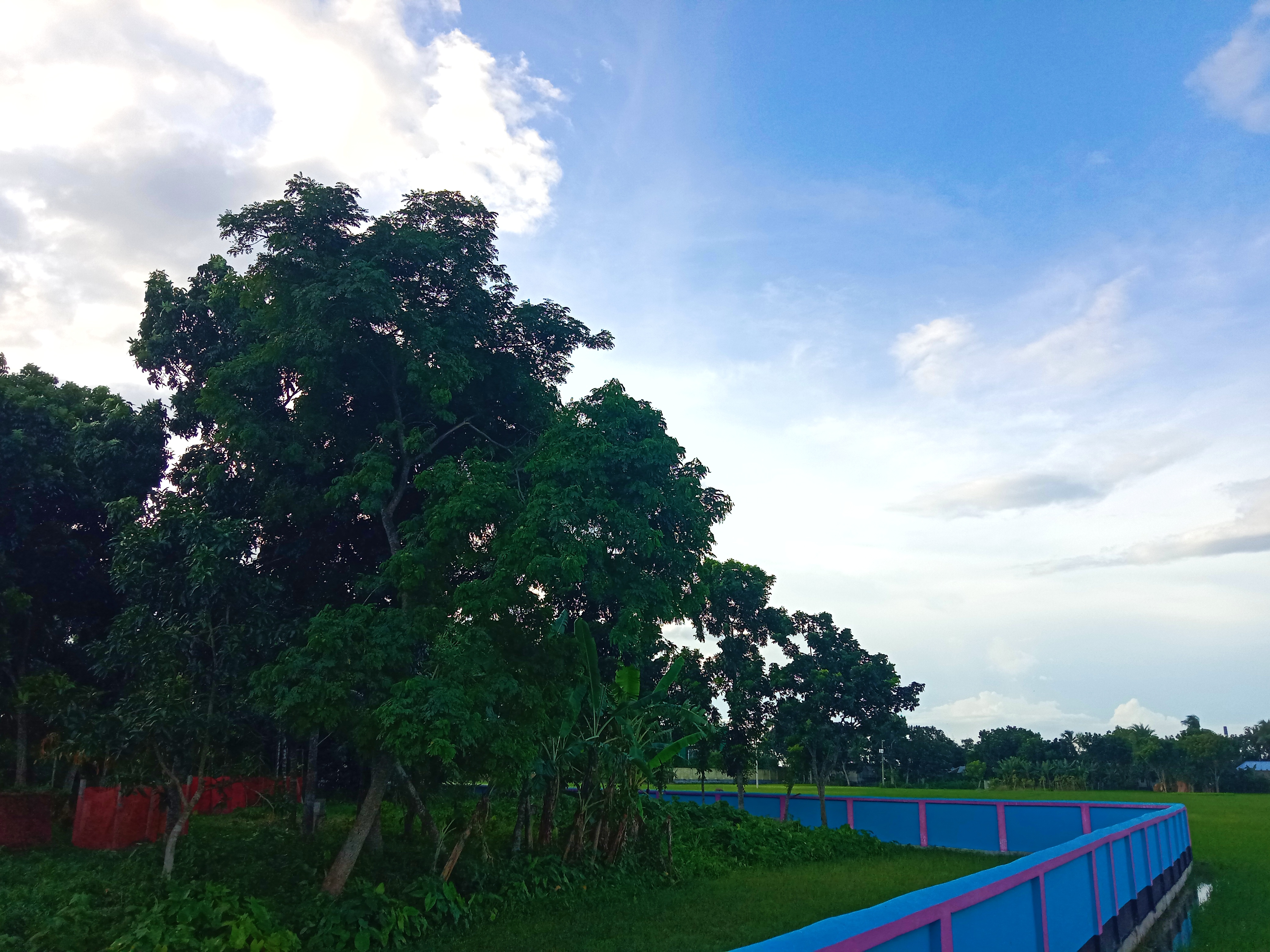 IMG_20260716_204938.jpg