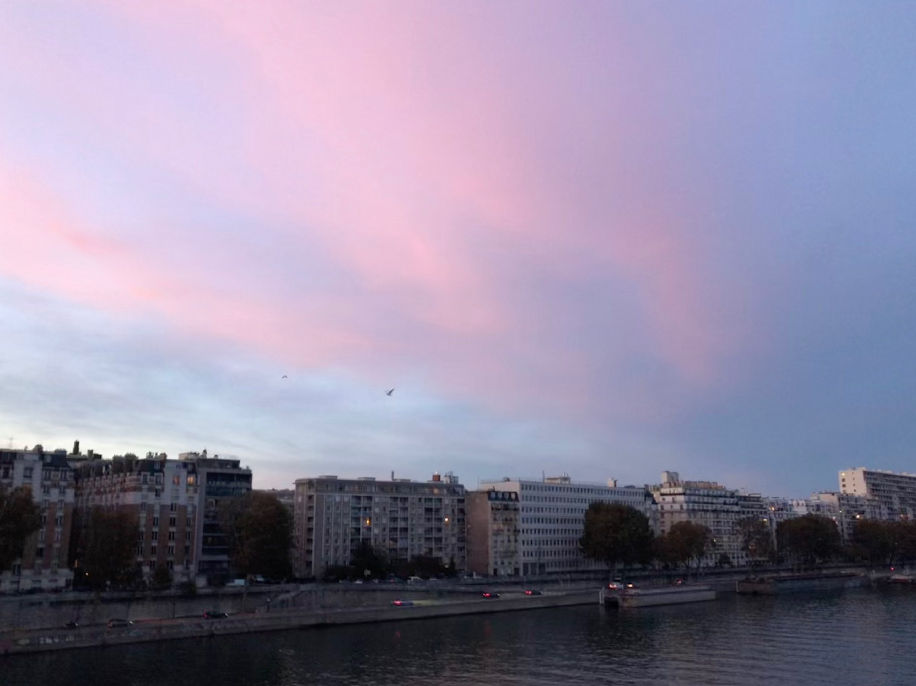 IMG_2434.jpg