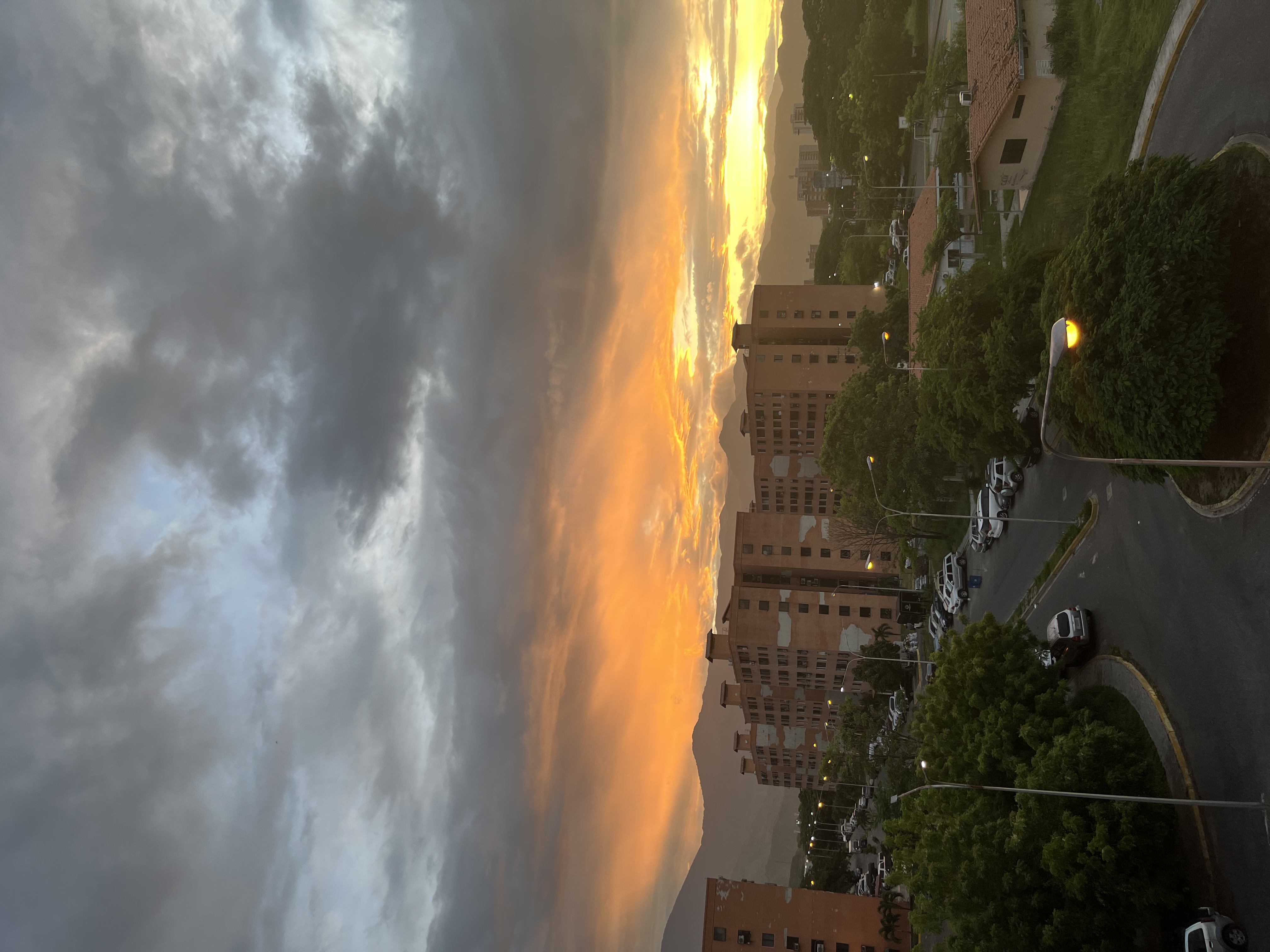 IMG_1078.jpeg