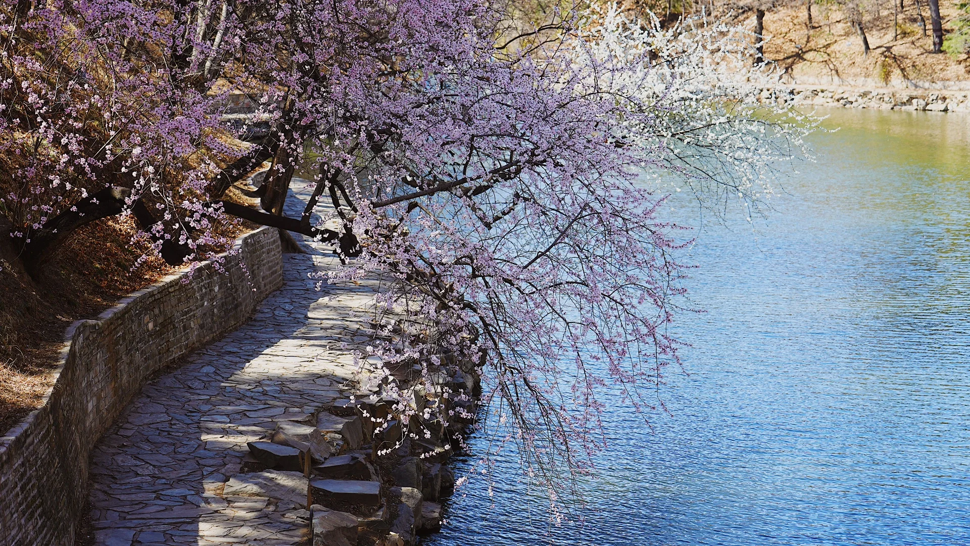 144.webp