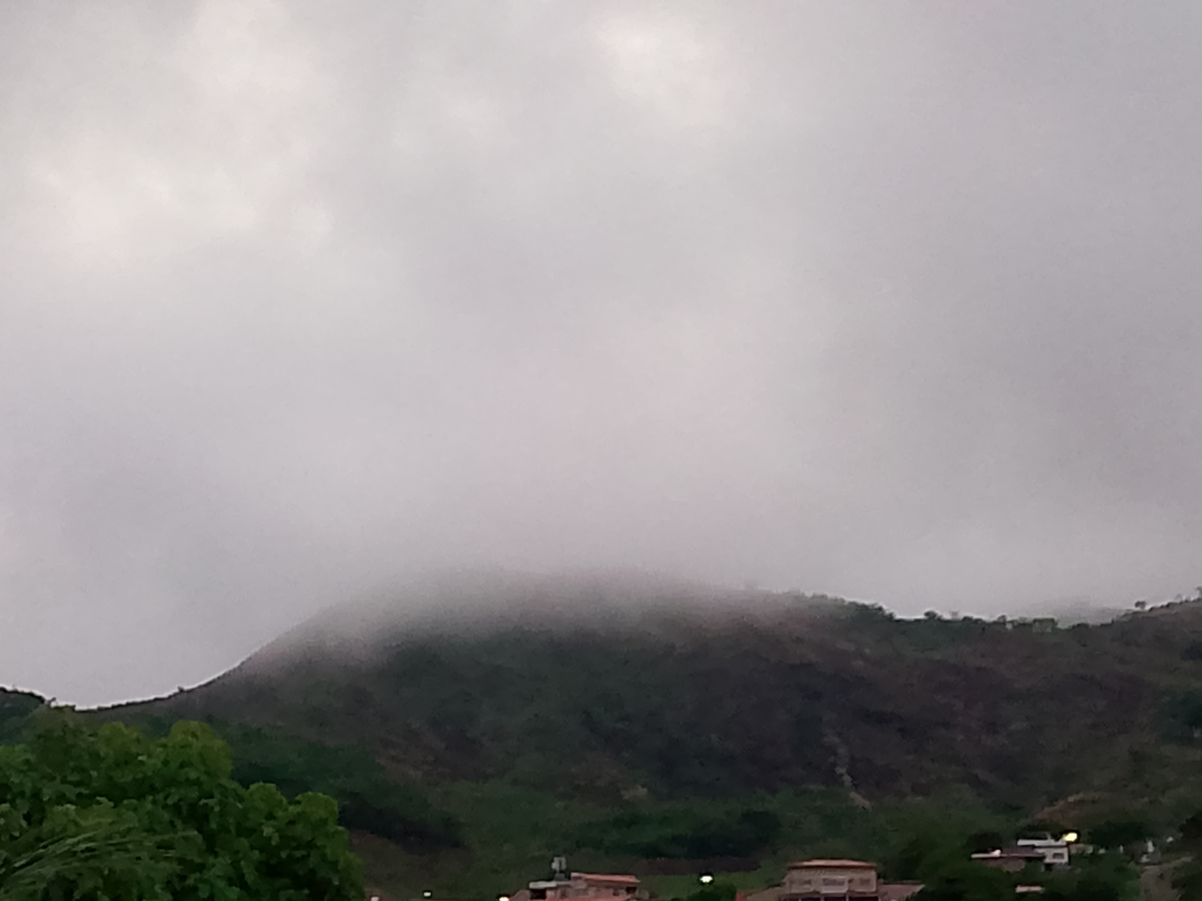 FotoGrid_20260605_192210190.jpg