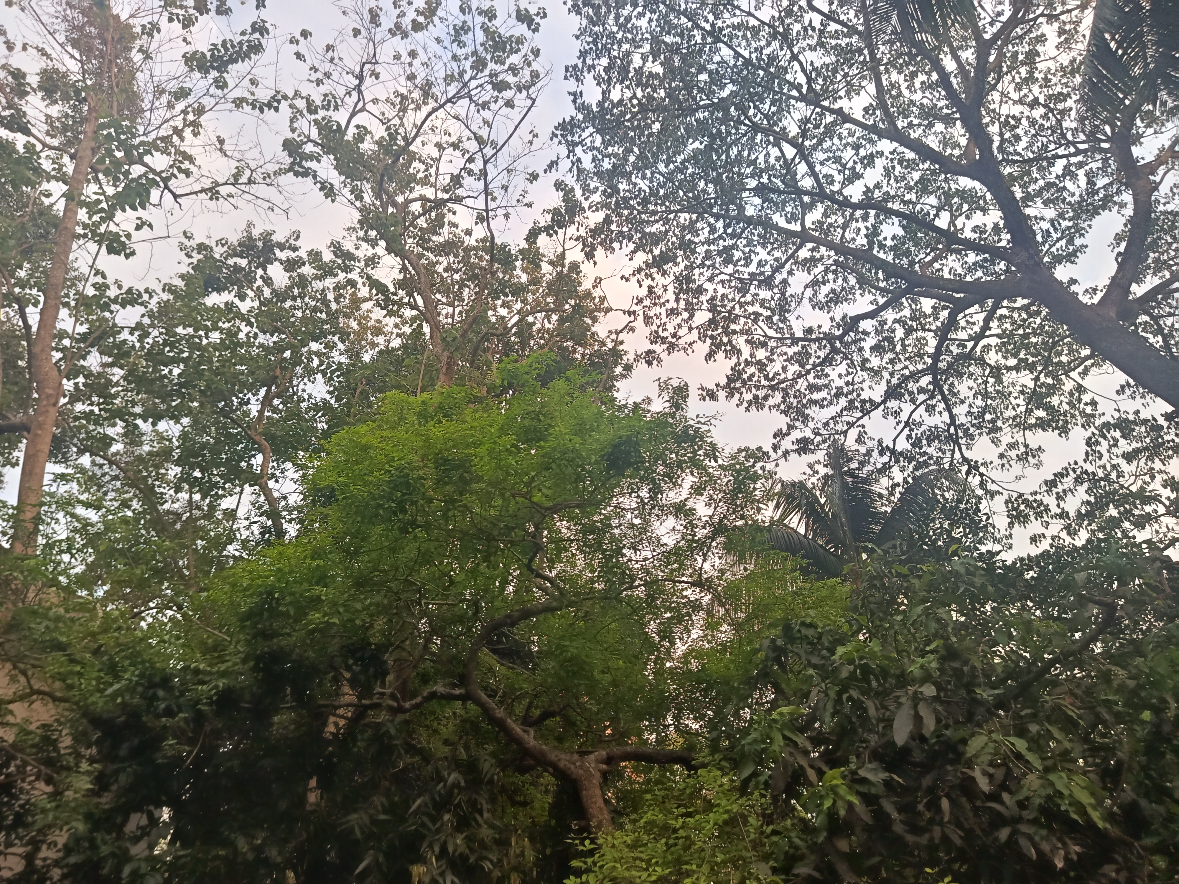 IMG_20260509_180504.jpg