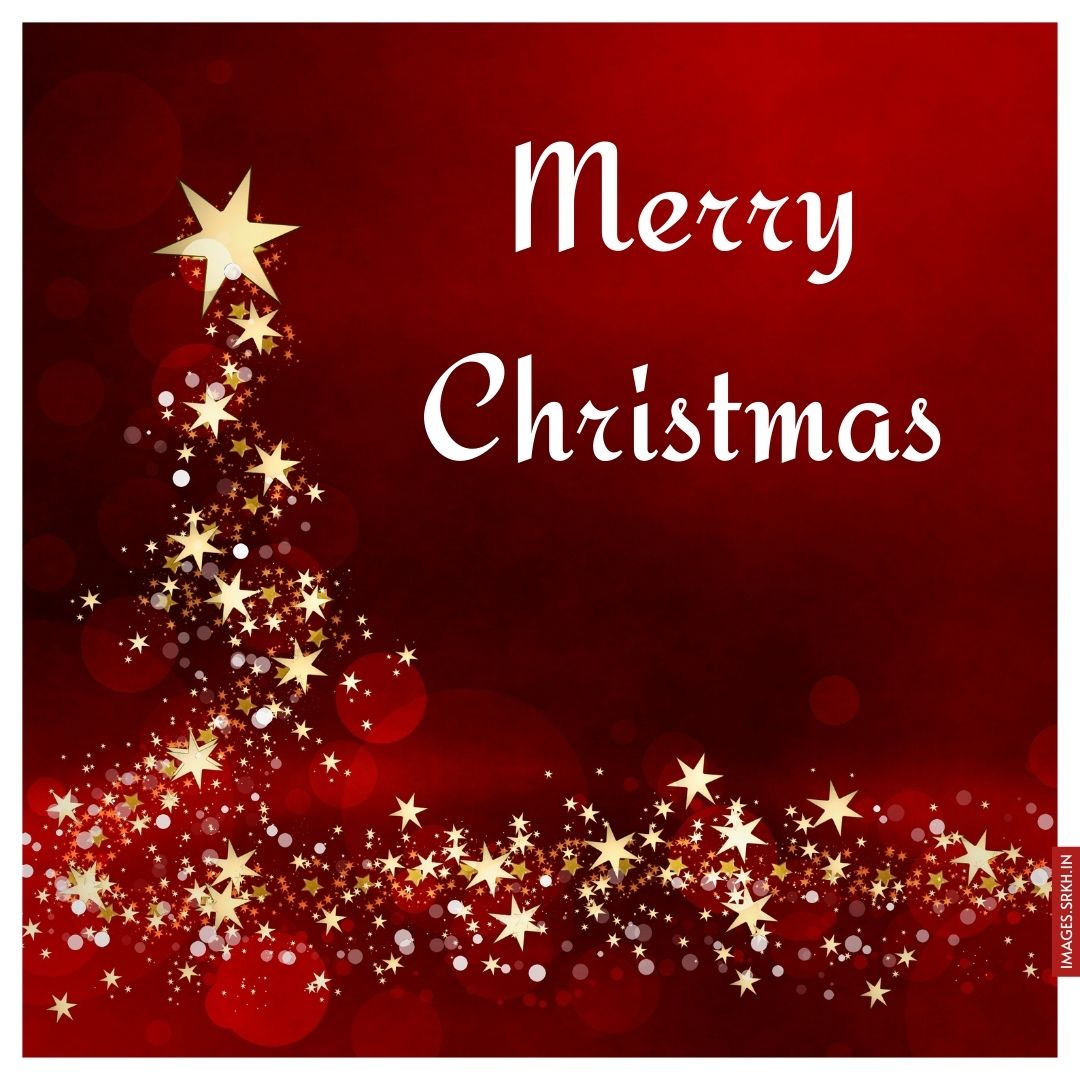 Merry Christmas Image.jpg