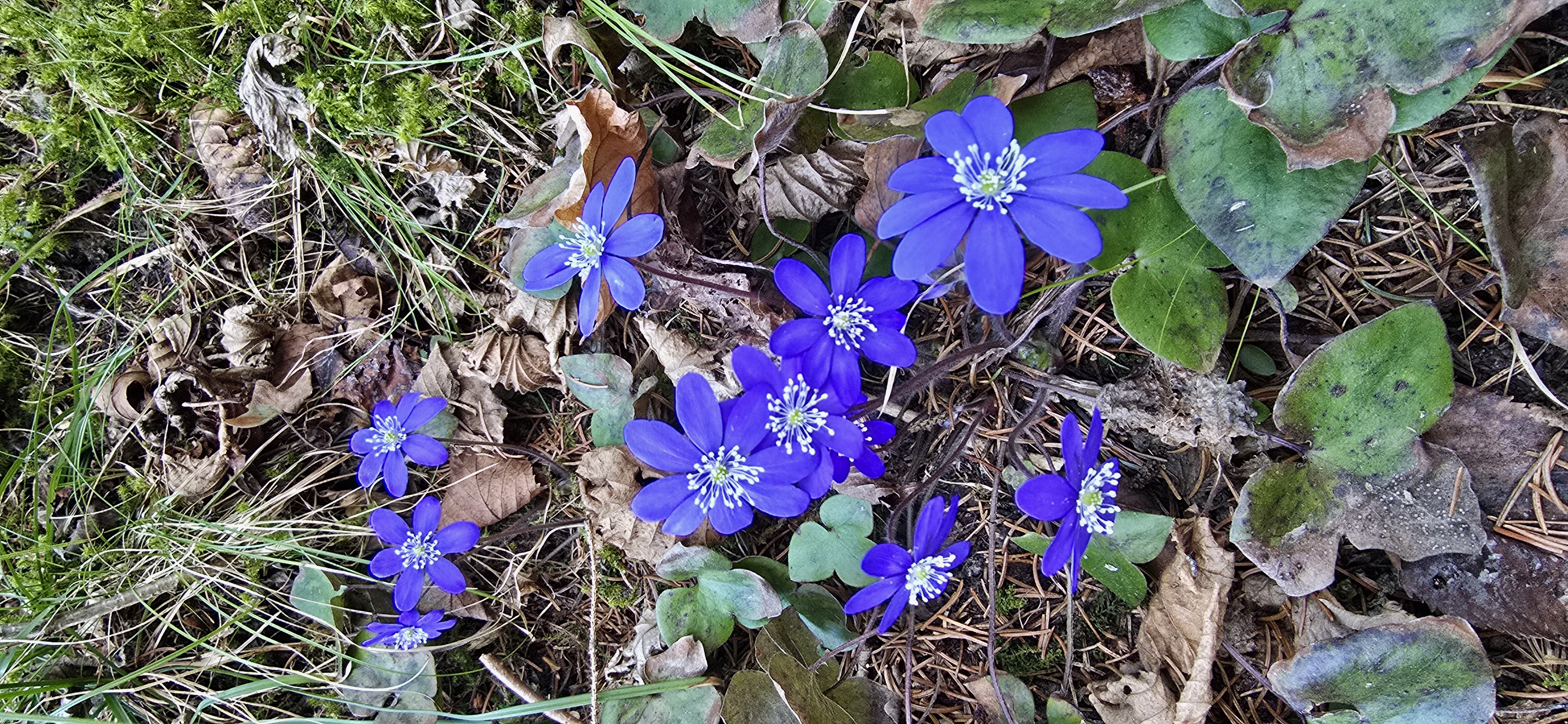 20260308_154737.jpg