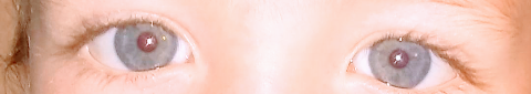 Screenshot_20210626-183352~2.png