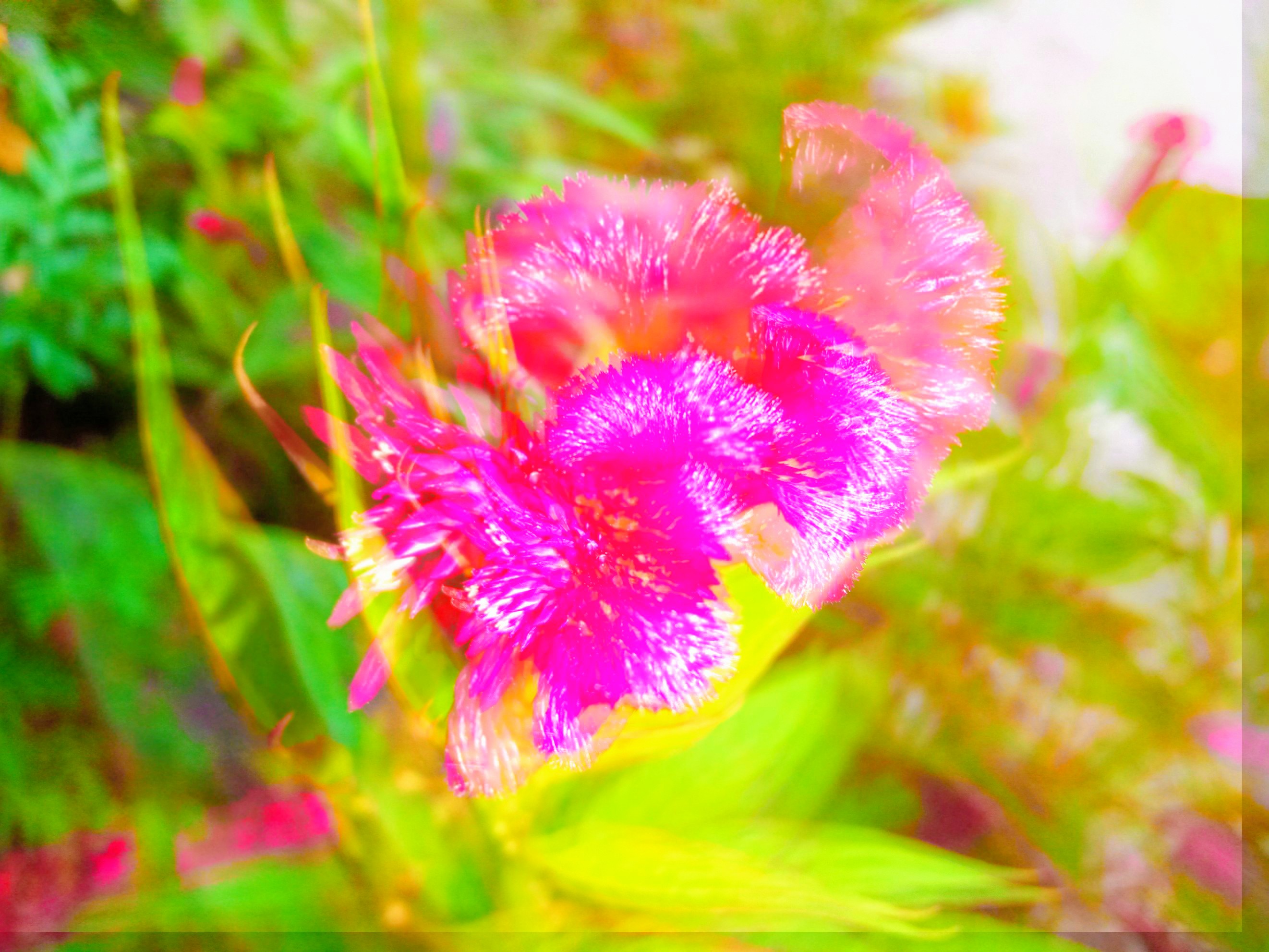 PicsArt_01-14-08.36.26~3.jpg