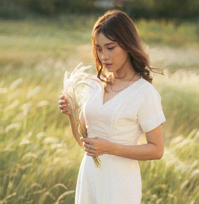 wheat gif.gif
