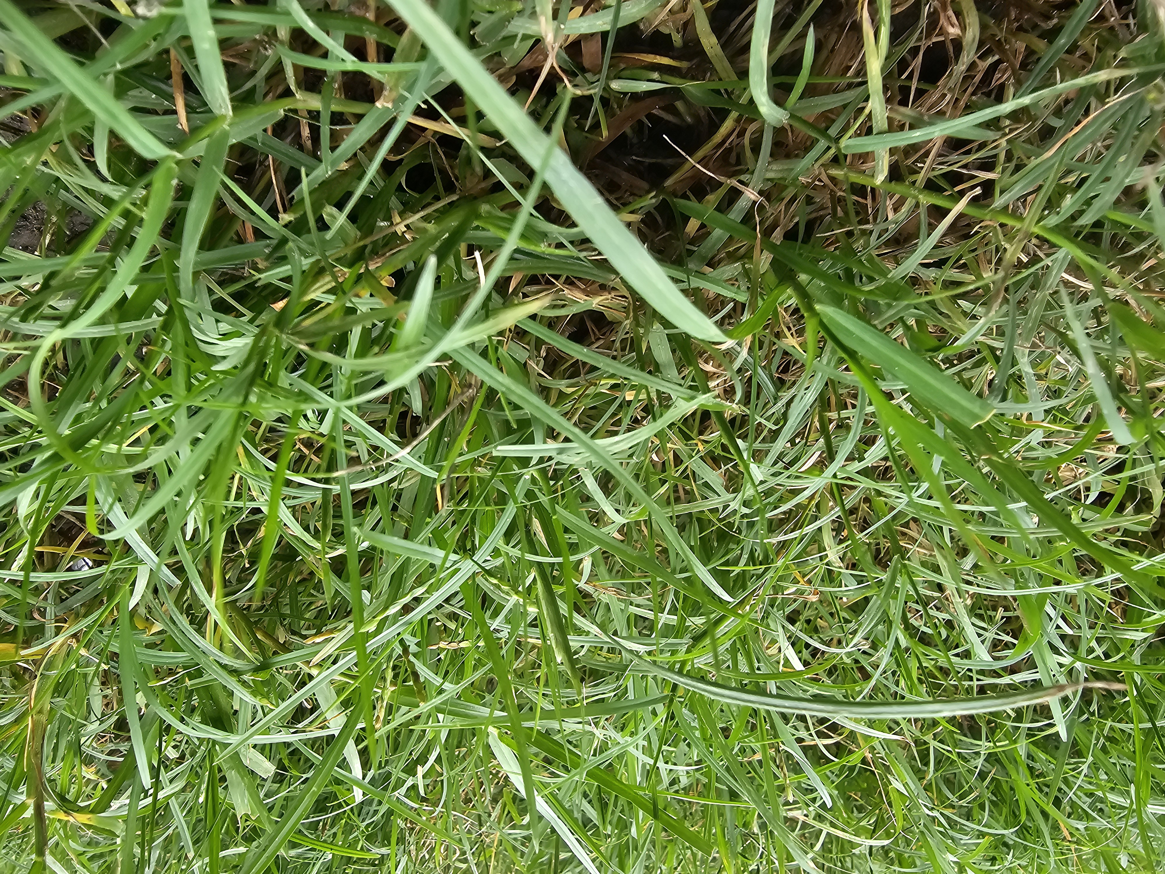 20260615_095003.jpg