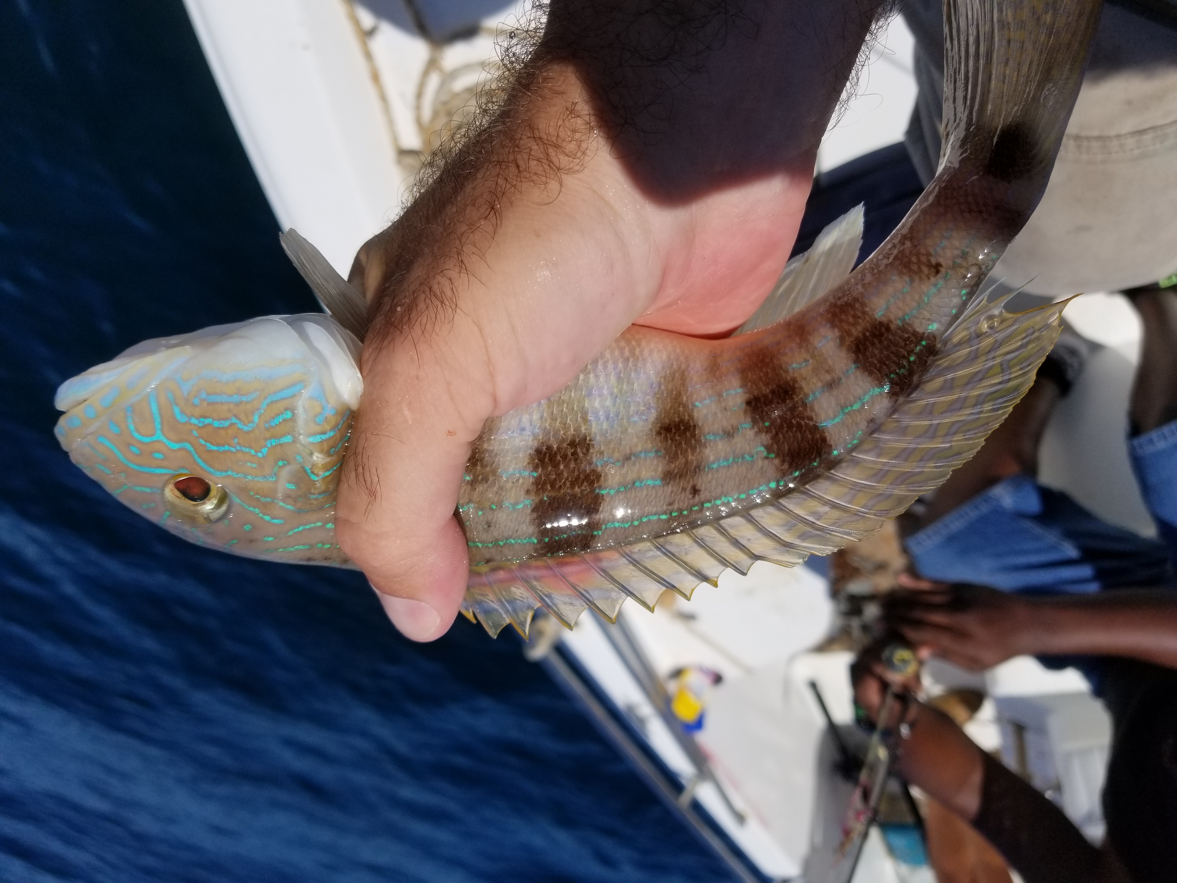 20180615_114454.jpg