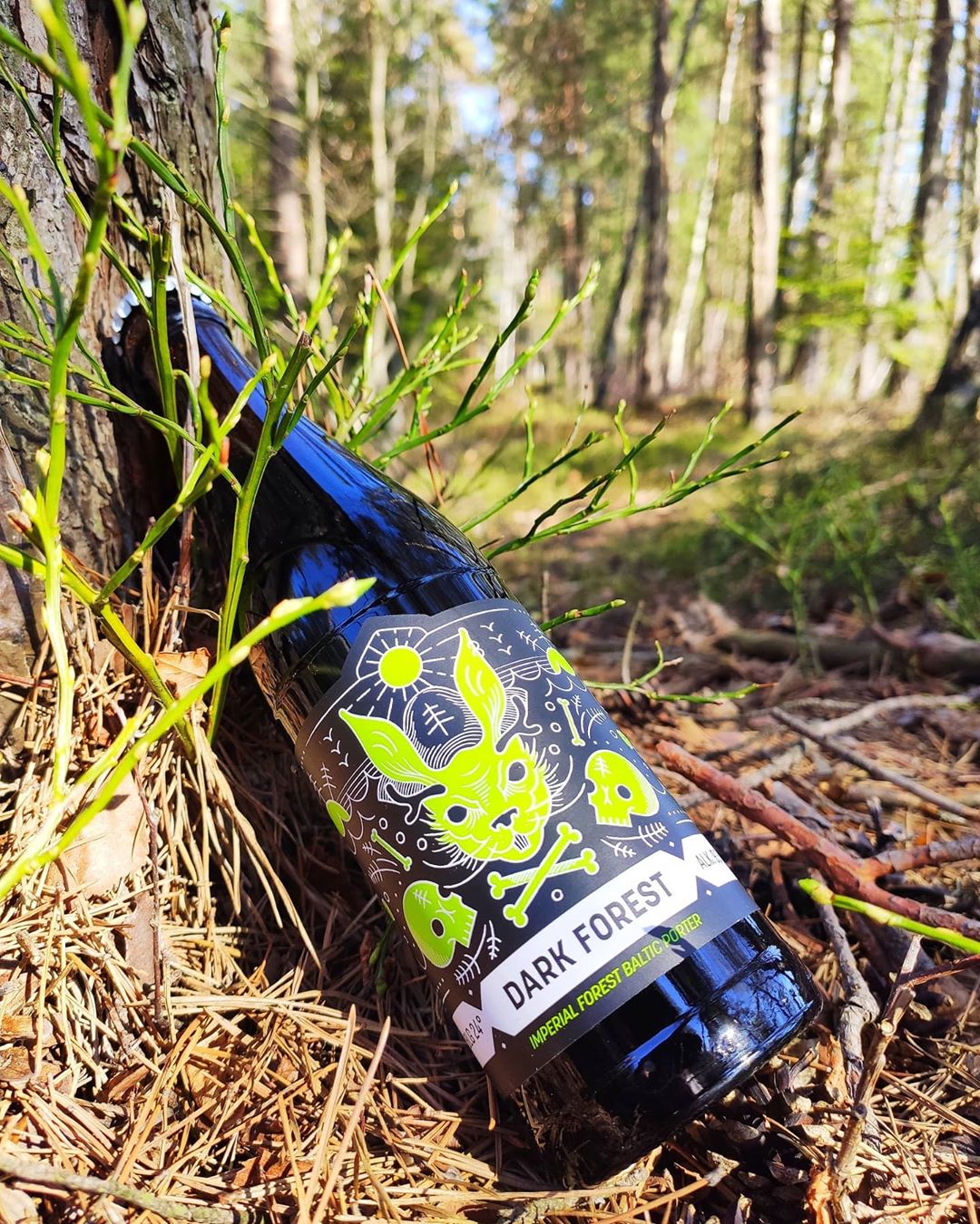 95566205_2895565073812061_9098977082678444159_n (1).jpg