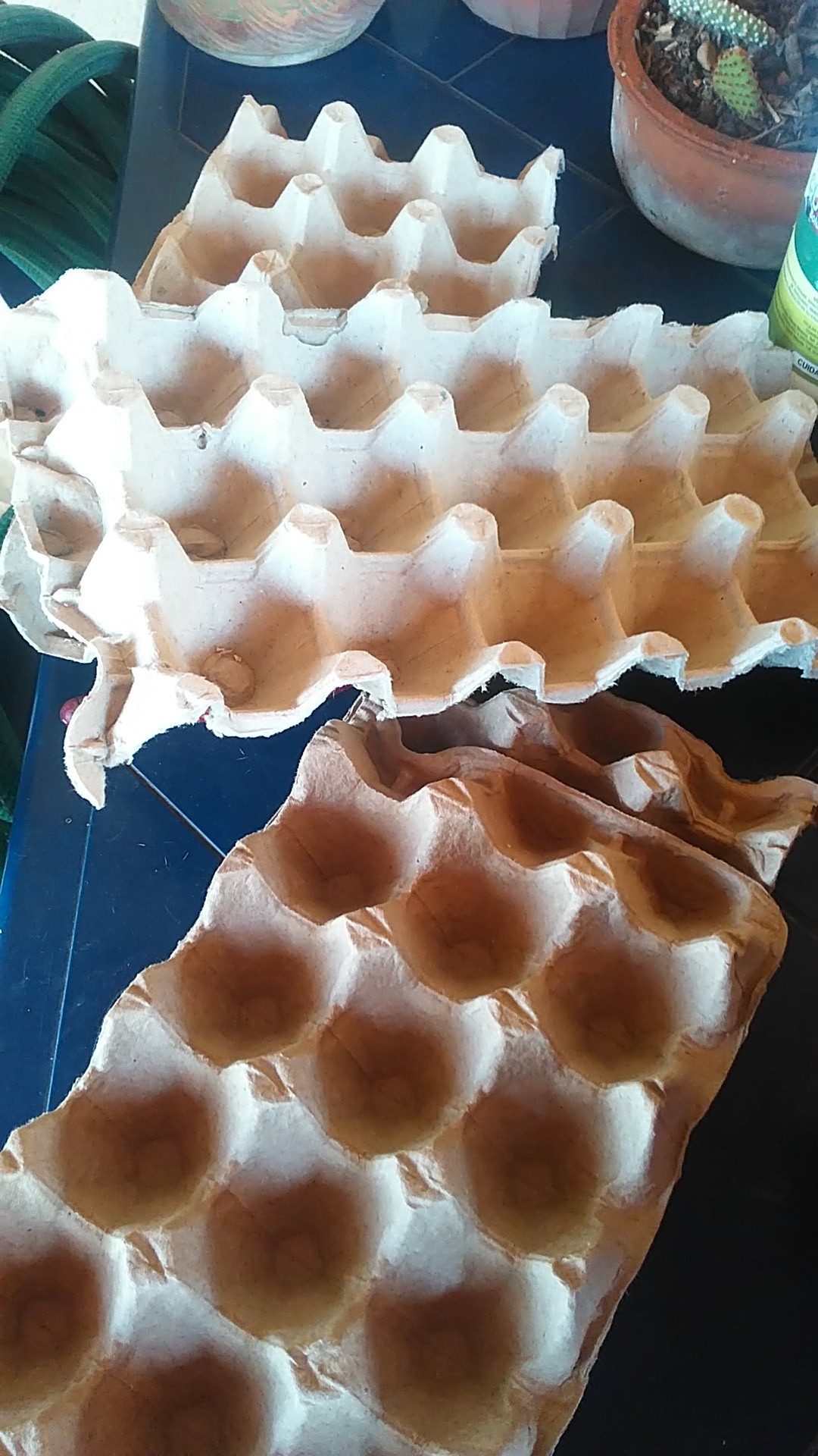 WP_20200620_12_14_39_Pro.jpg