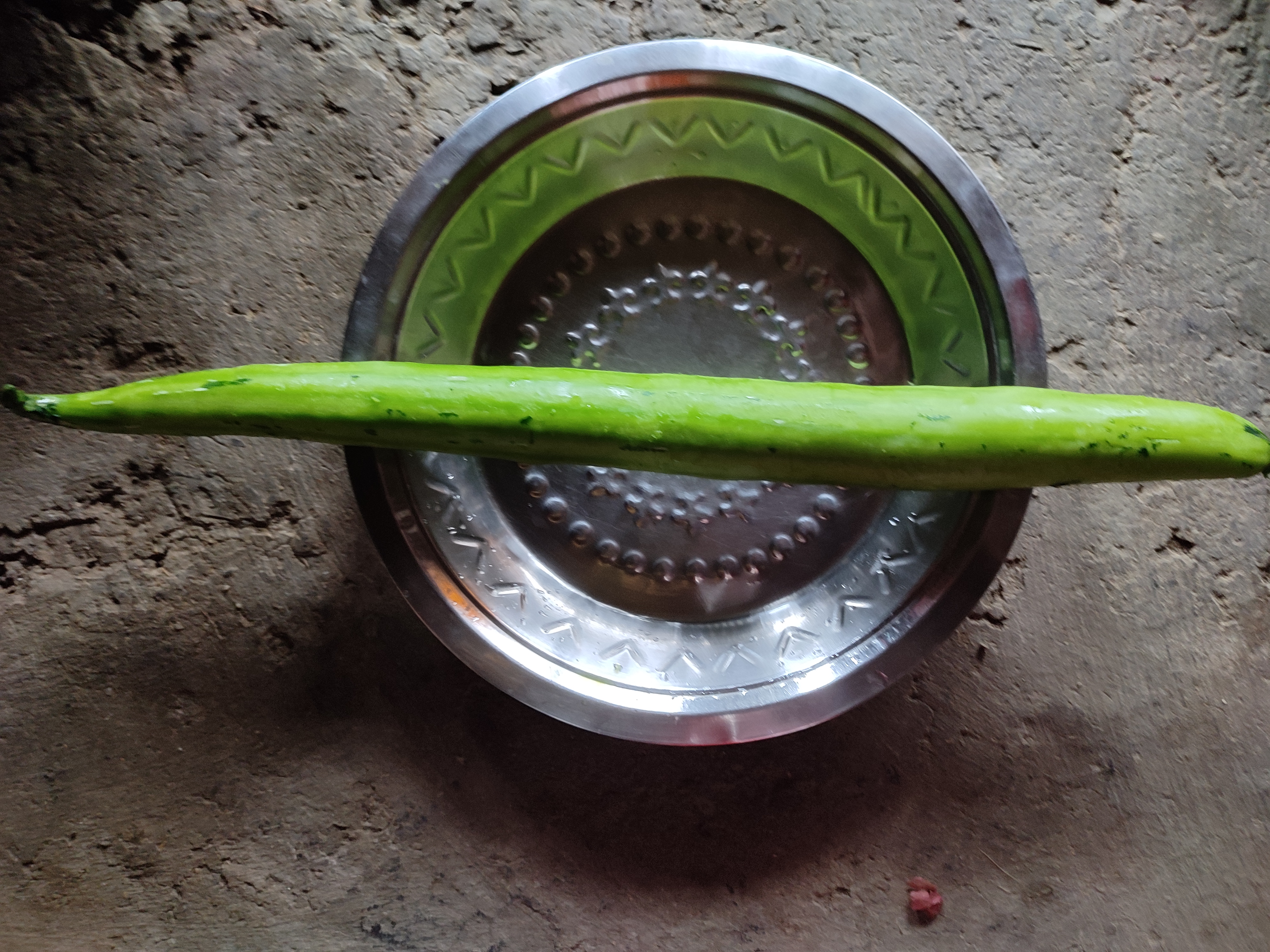 IMG_20210712_132815.jpg
