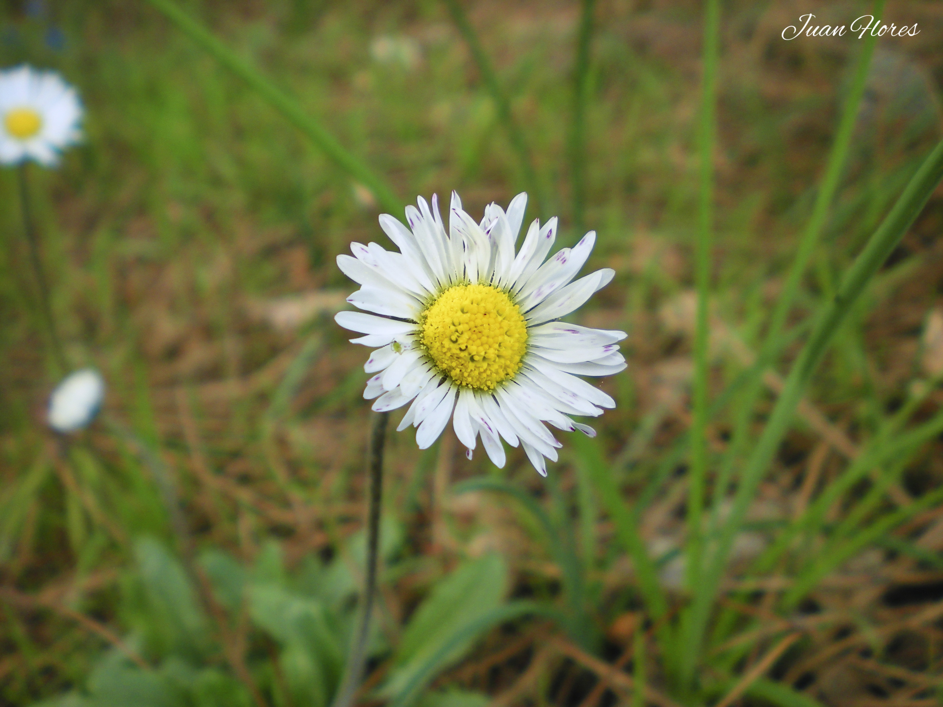 DSCN0133.jpg