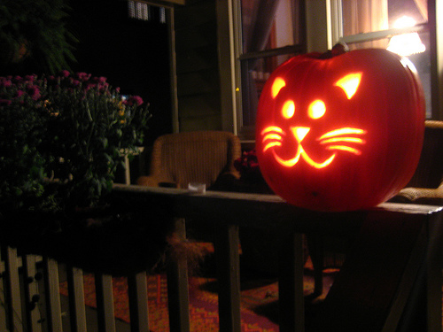 Gatosencasa_calabazahalloweengato_mockstar2.jpg