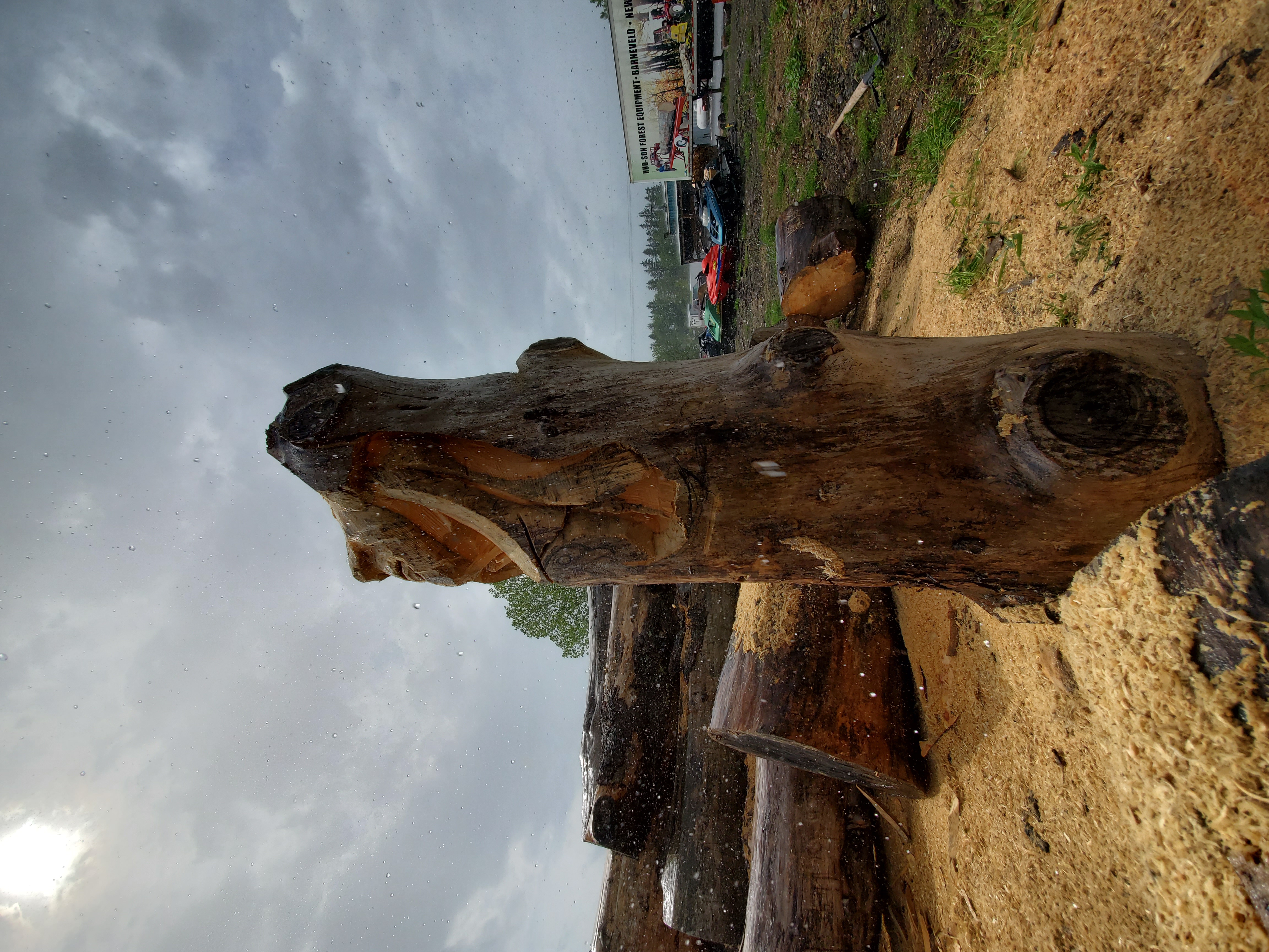 20190525_153658.jpg