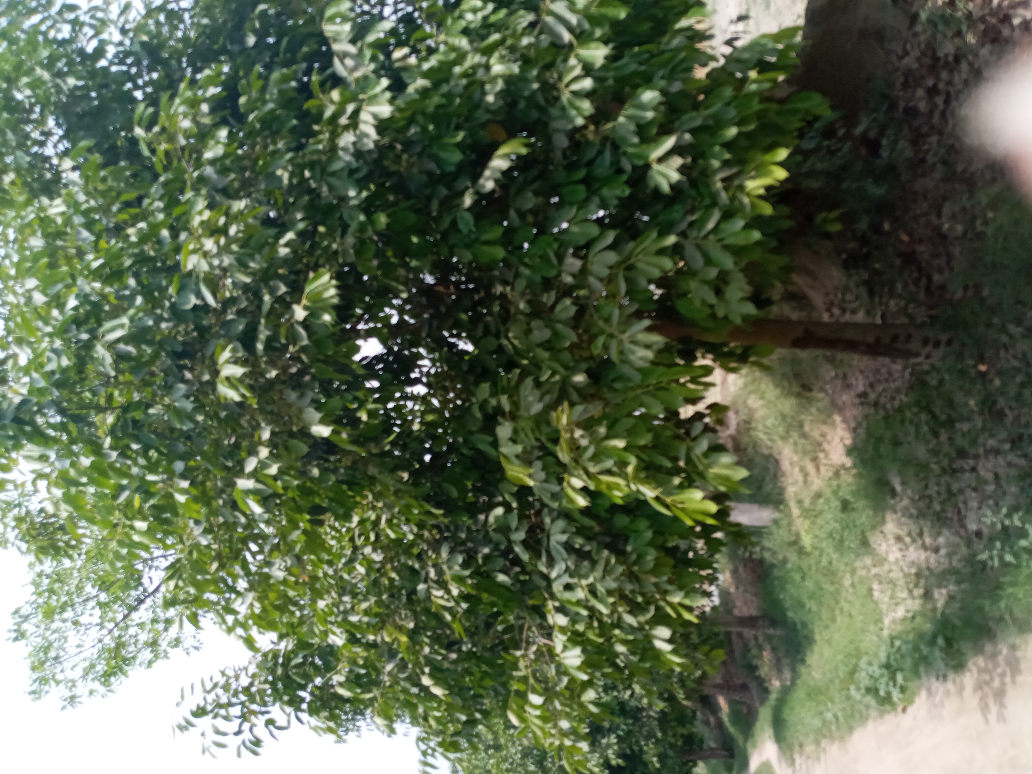 20210501_123142.jpg