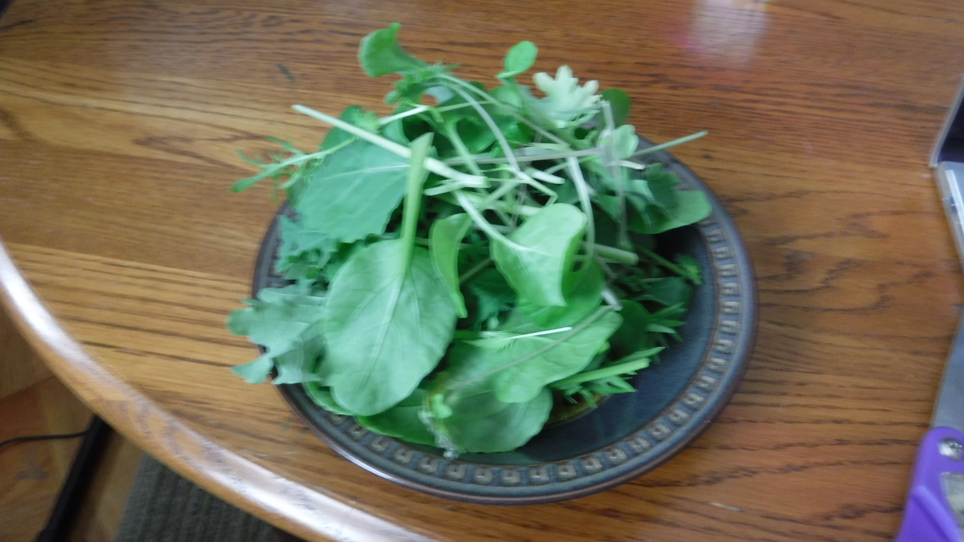 DSCF8636.JPG
