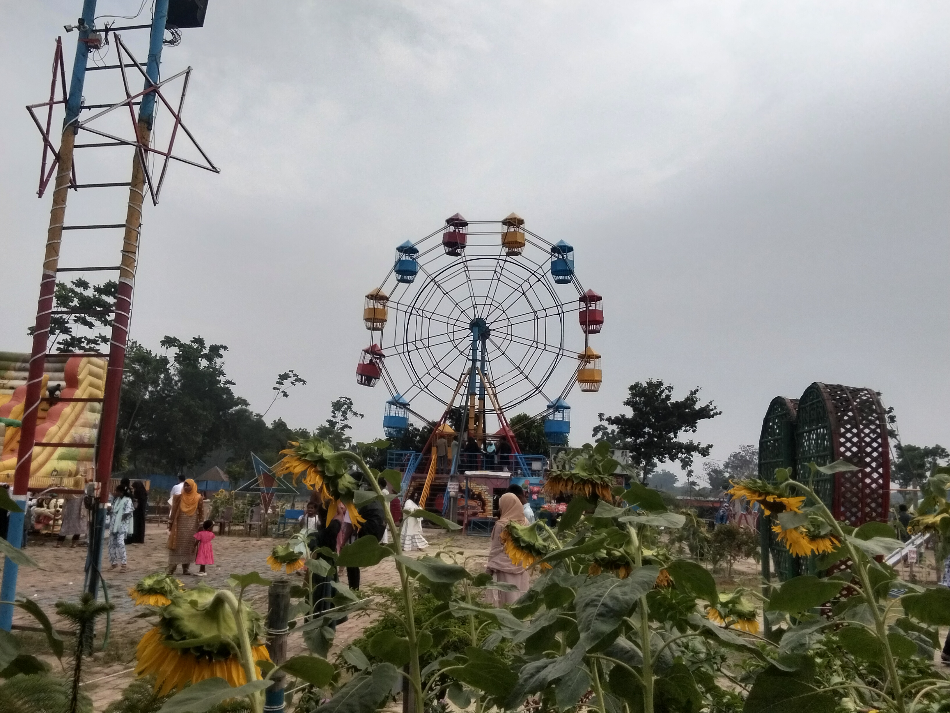 IMG20260321153013.jpg