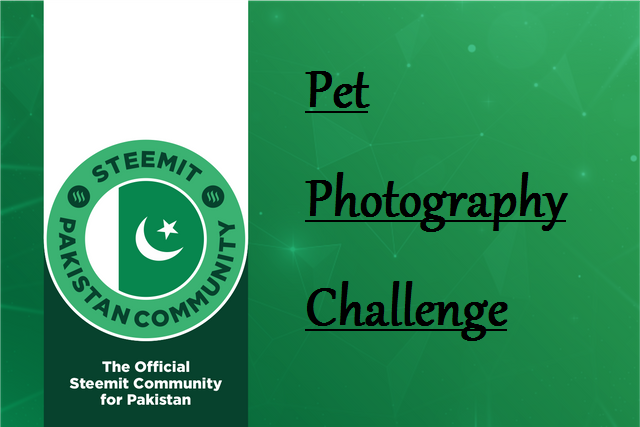banner - Copy (2).png