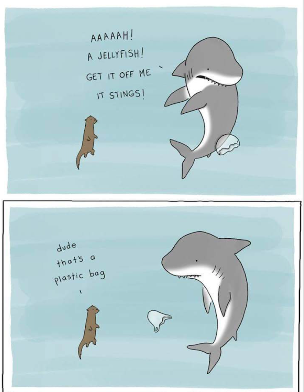 Plastics in the ocean, a meme :-) — Steemit, image size:980x1262