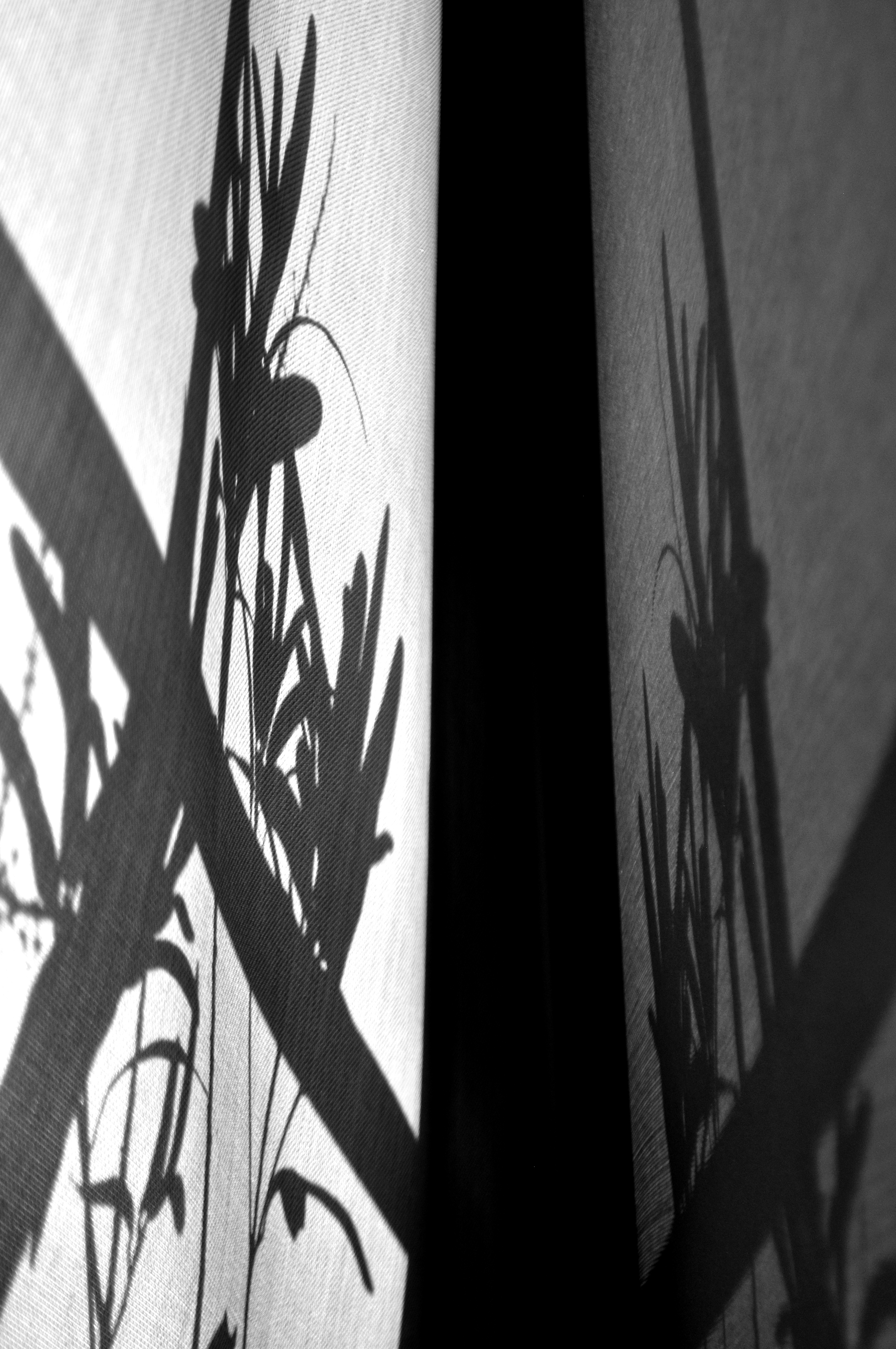 persiana-3.jpg