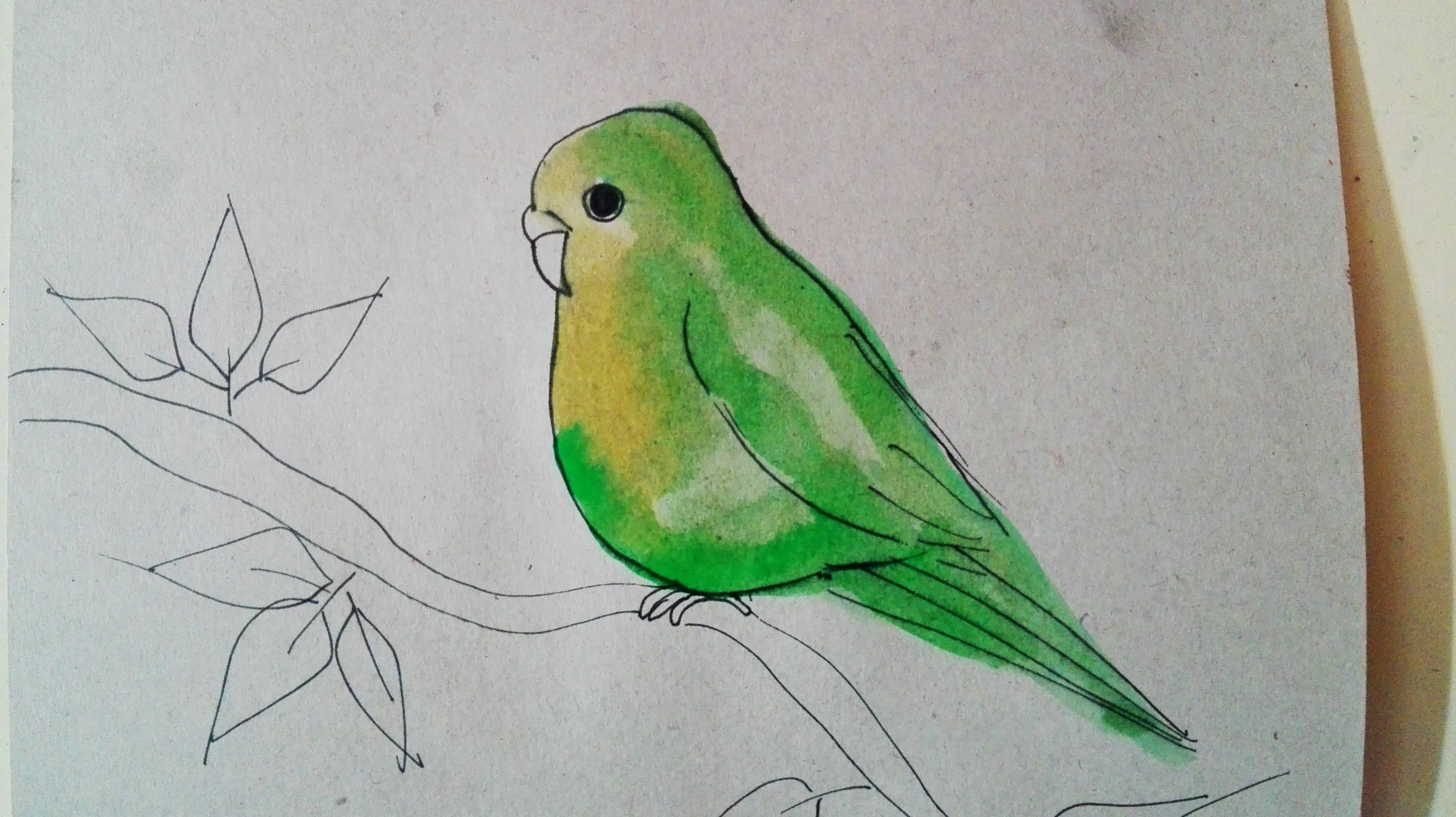 PAINTINGBIRD(58).jpg