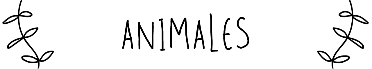 Animales.jpg