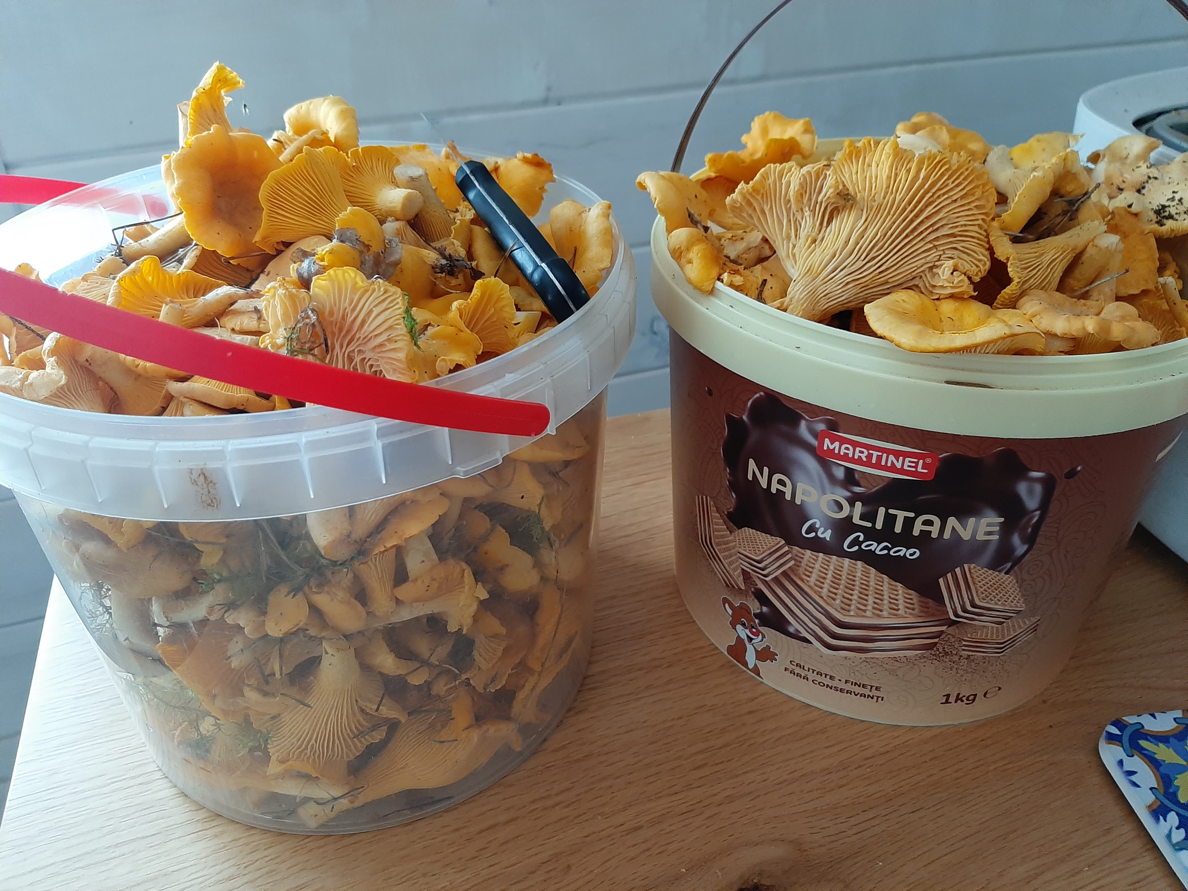 20260815_130702.jpg