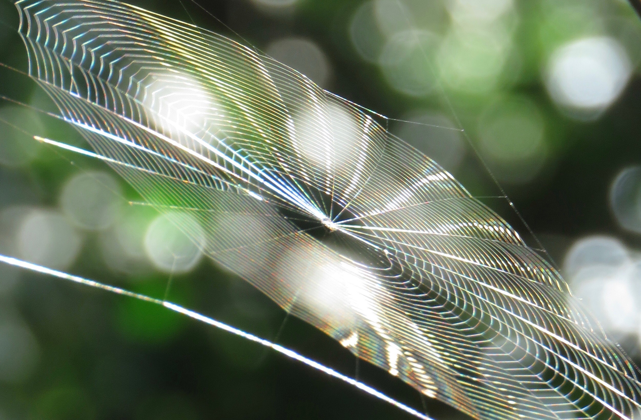 8C46DC66-90A6-49CF-8329-731D0D302ADE.jpeg
