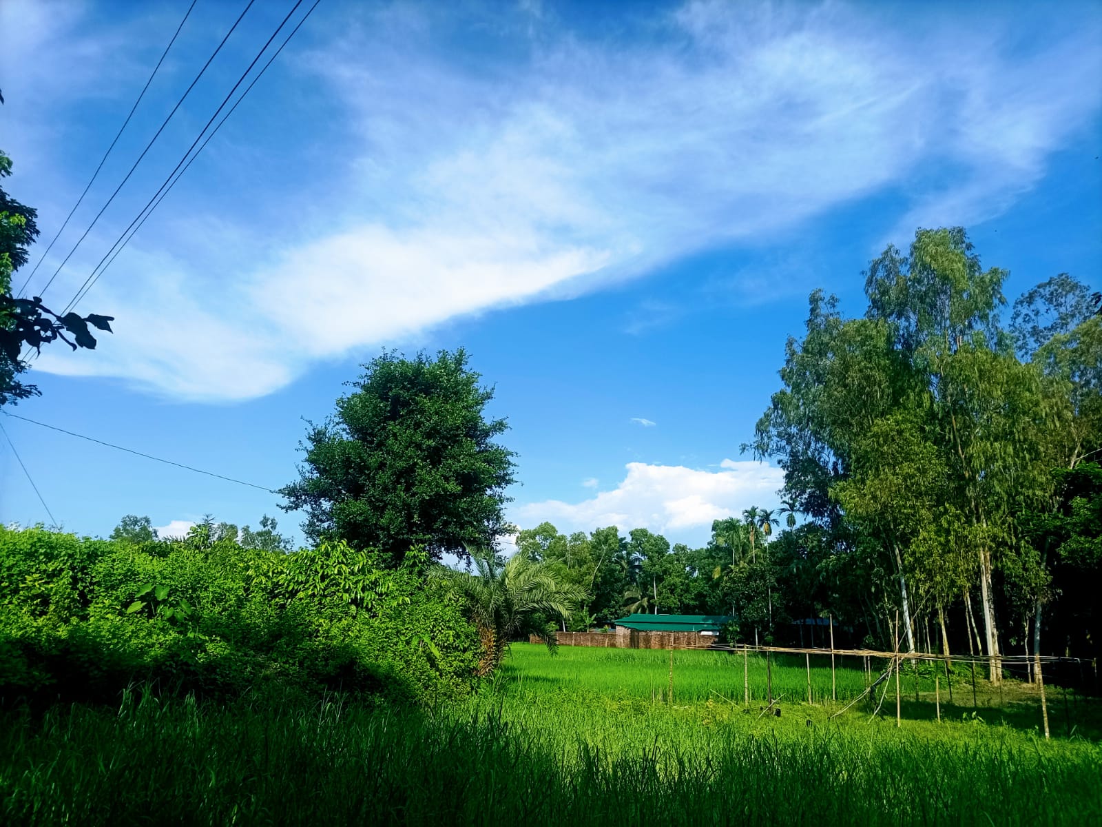 n8.jpg
